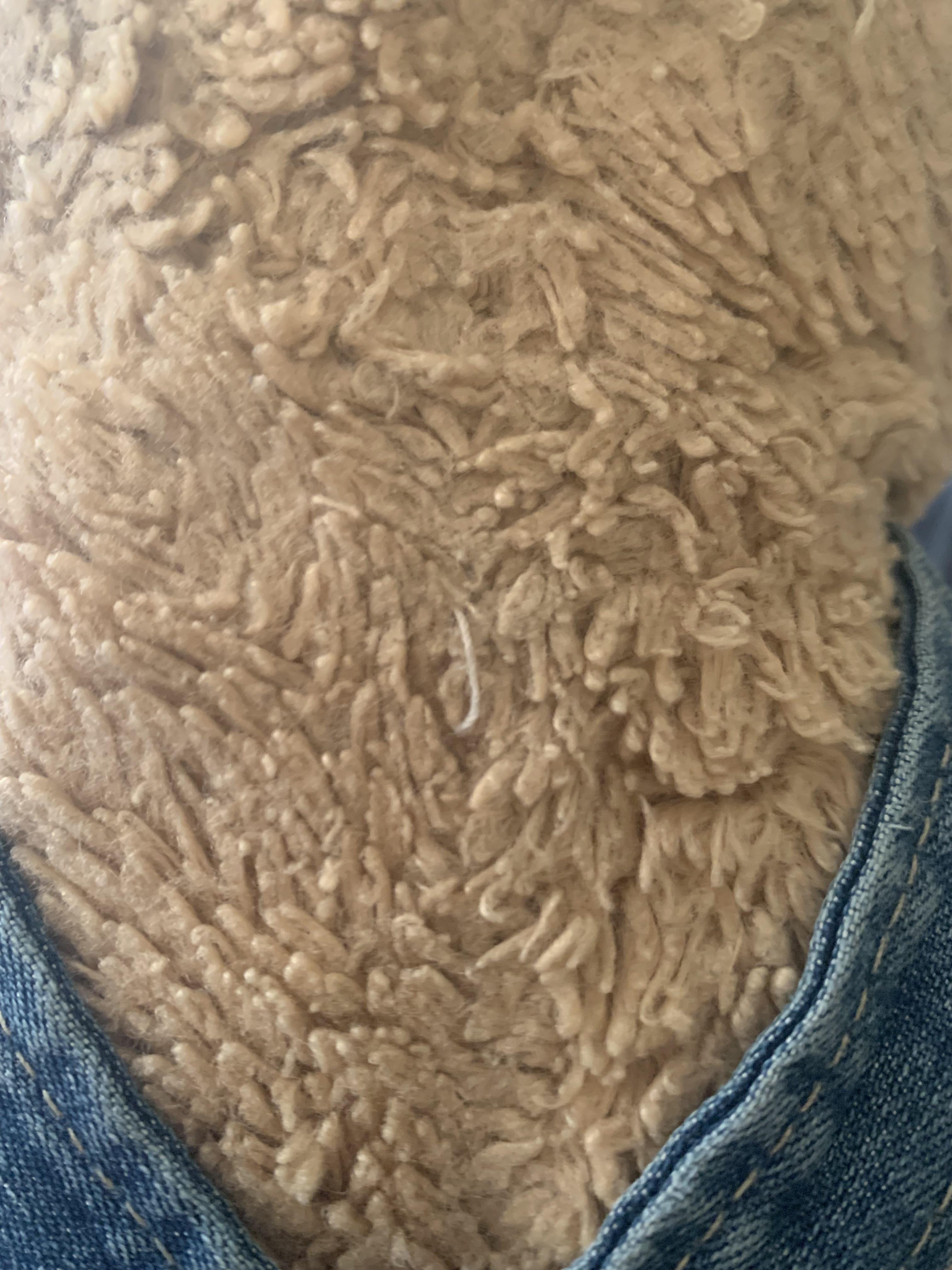 Help I’m getting my Pawlette restuffed/sound box replaced, I’d like to