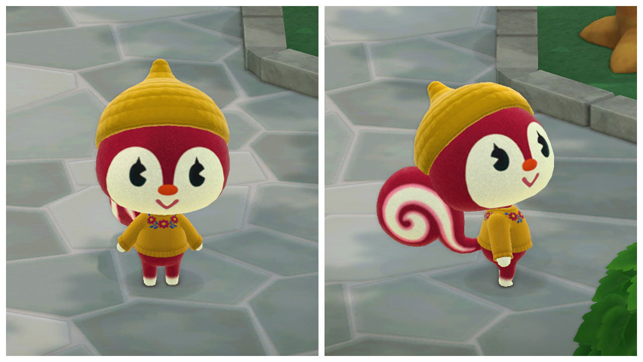Animal Crossing I gave Poppy an acorn hat to match her sweater