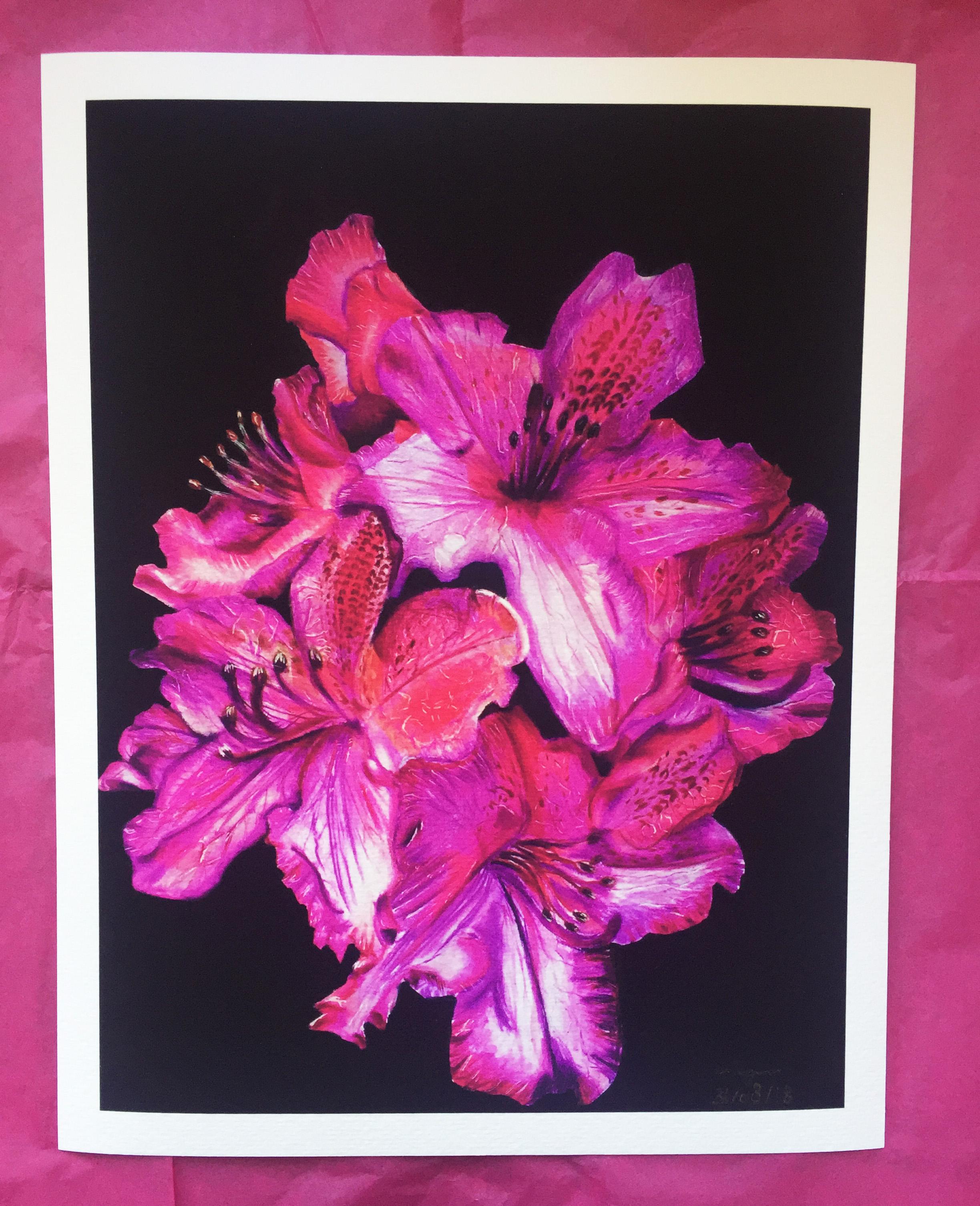 Botanical Art prints for sale [artist store] r/artstore