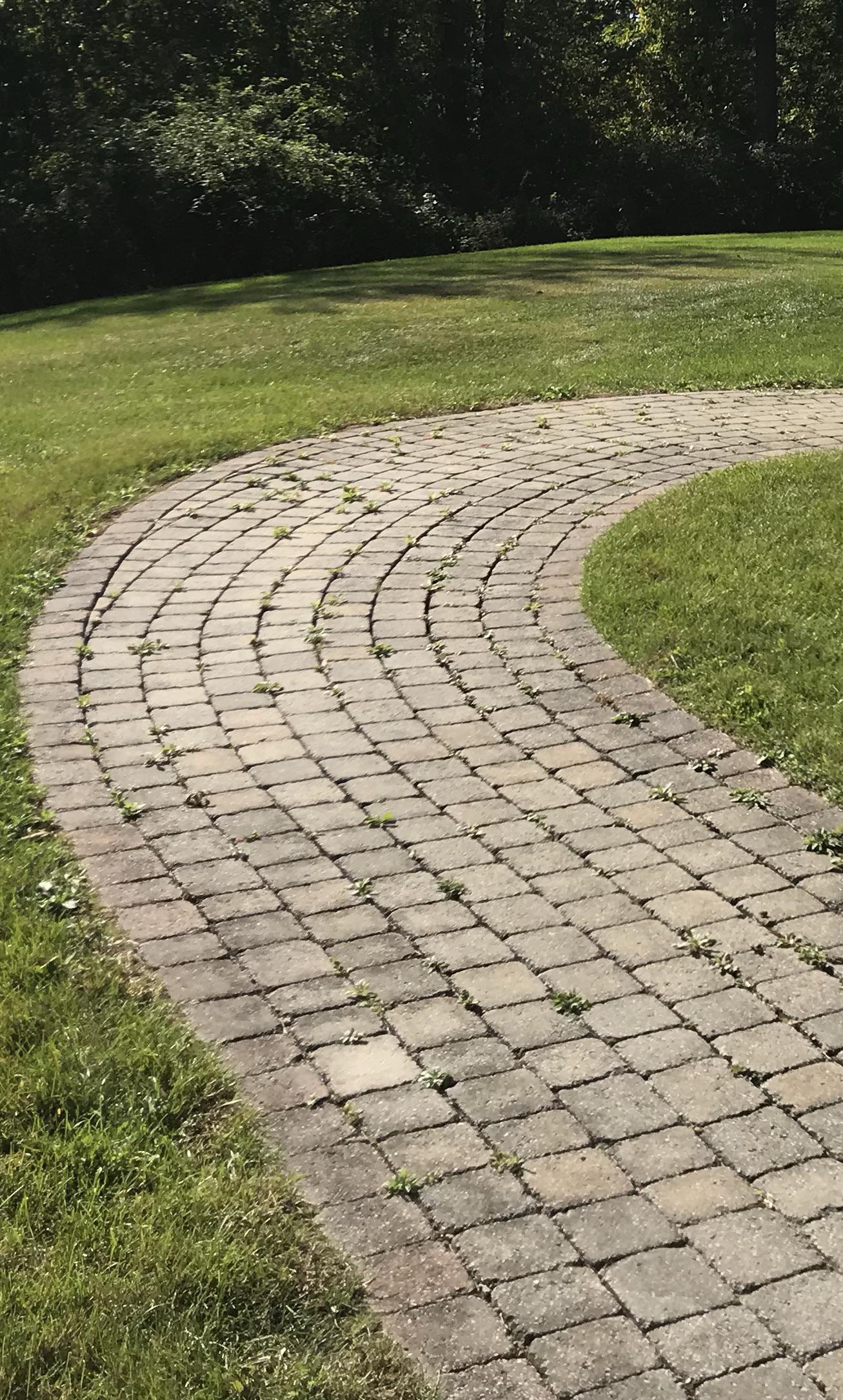 19 yr old pavers, will they last and are they worth cleaning/leveling