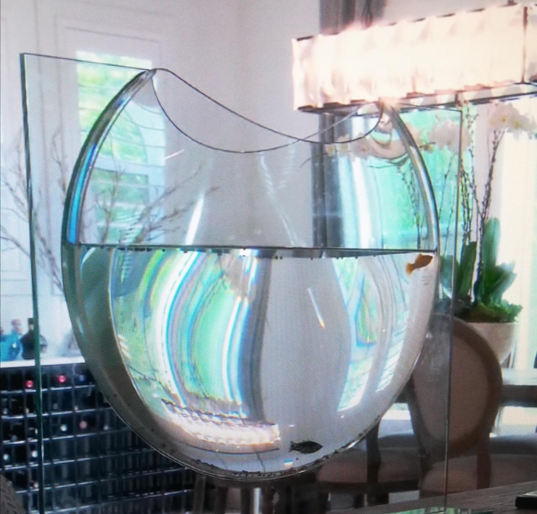 Garcelles cruel and horrible fish tank. Who keeps fish in a tiny, baron