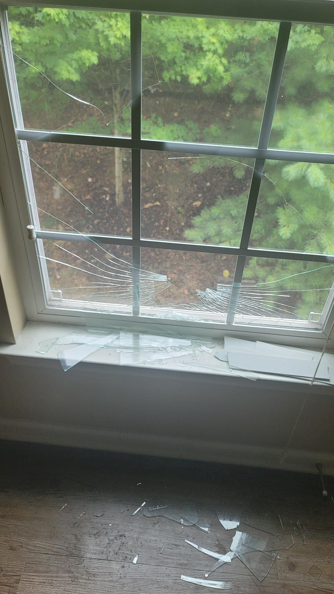 Window Repair? : Chattanooga