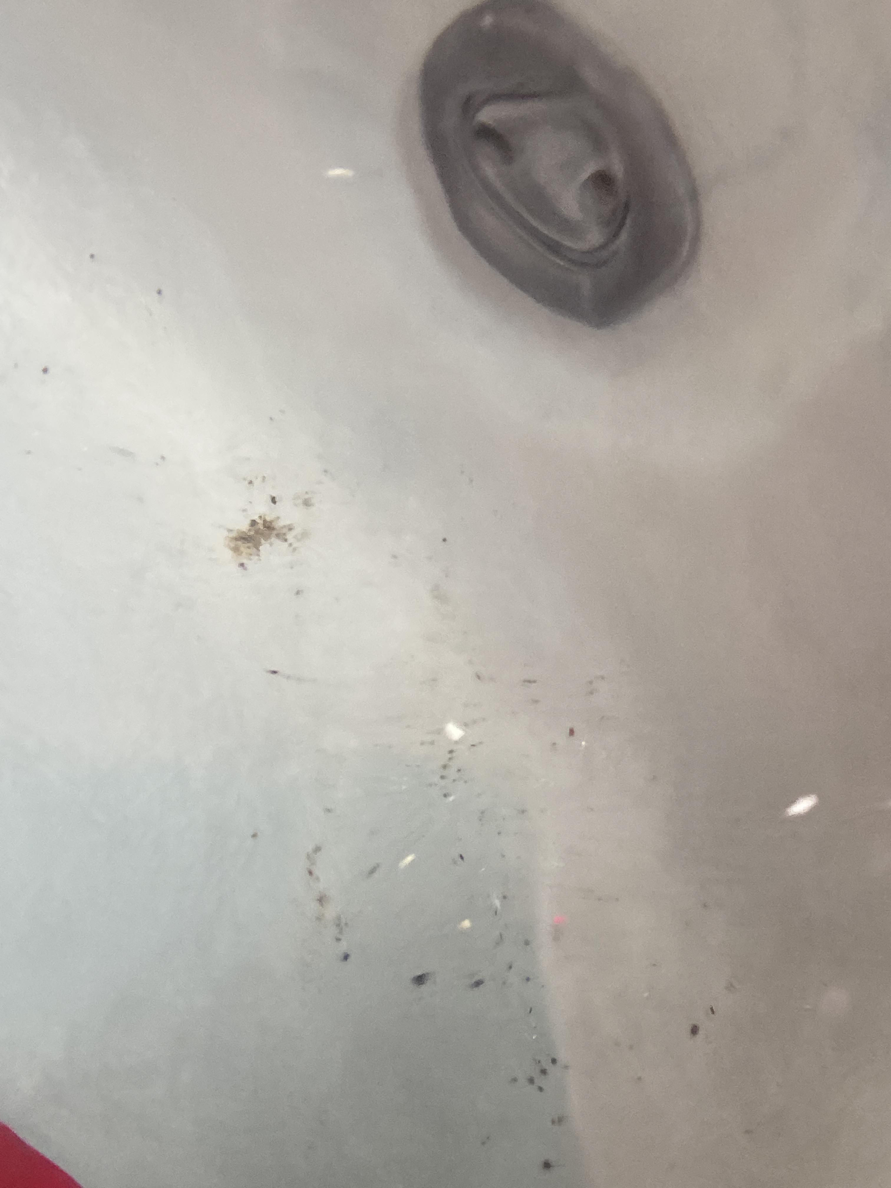 What is the best way to remove dirt off the bottom of a hot tub? r/hottub
