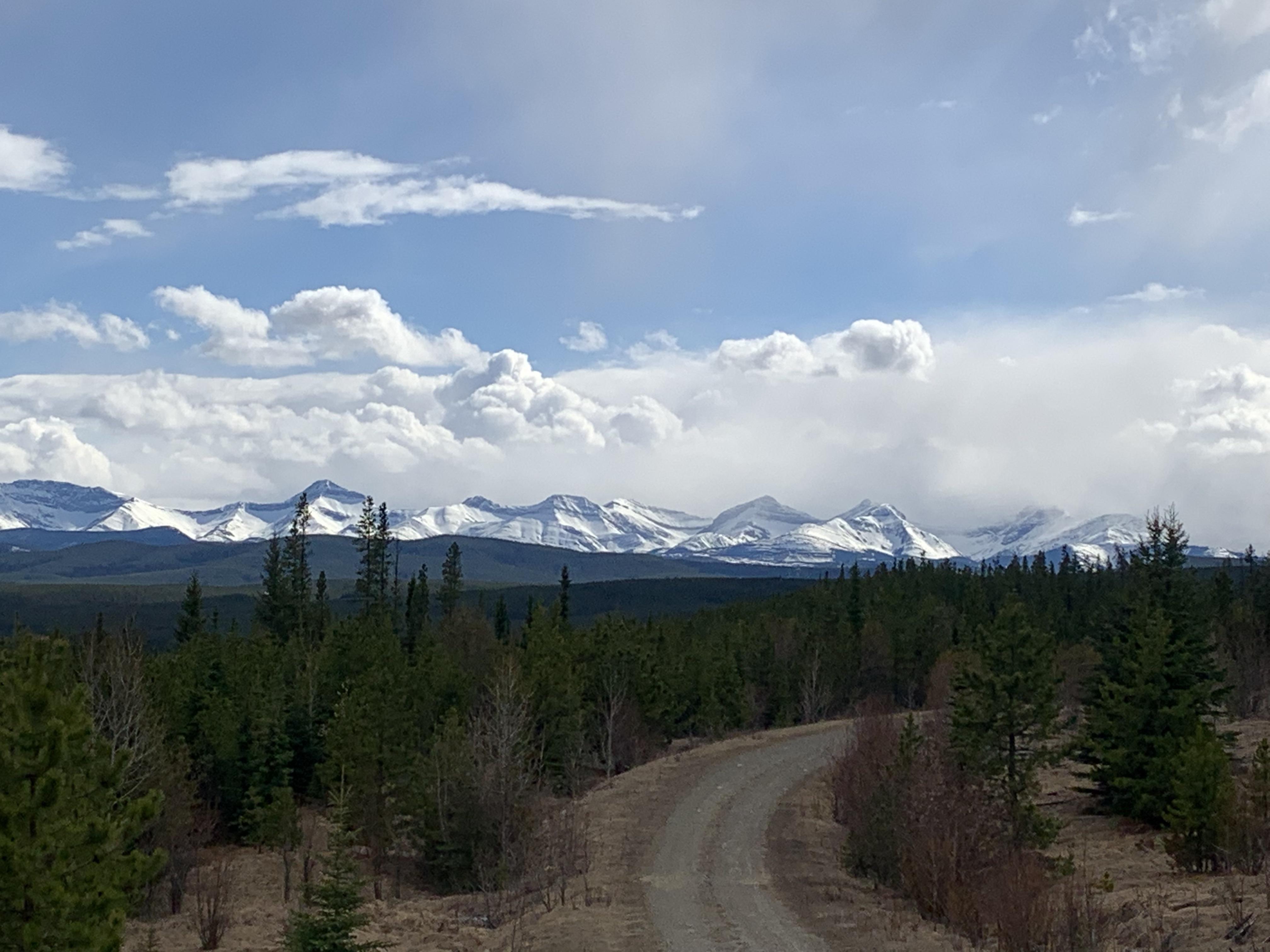 Mountains near Cadomin, Alberta r/natureporn
