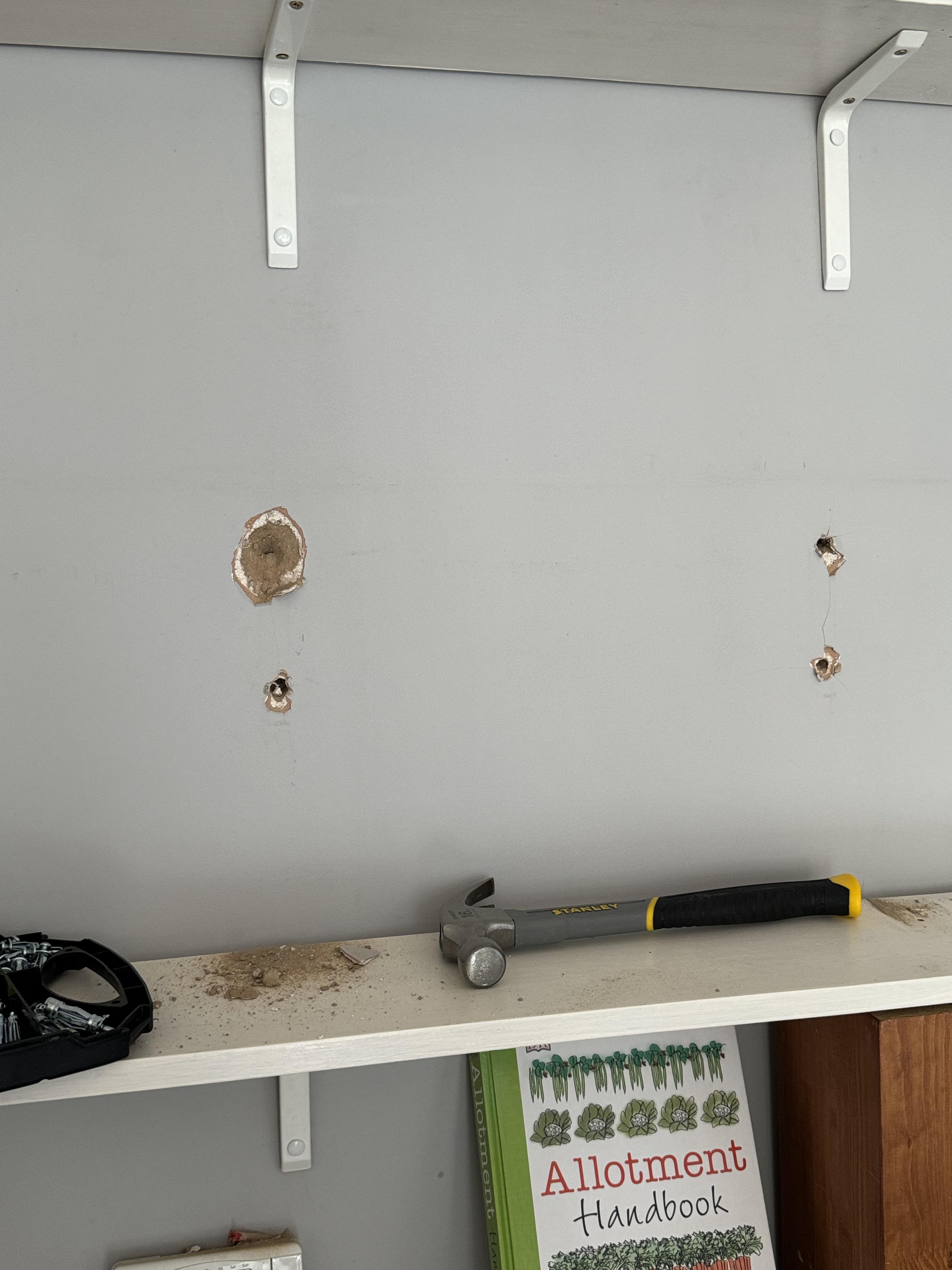 Live in old Scottish house 1870s I believe wall is limestone. Shelves