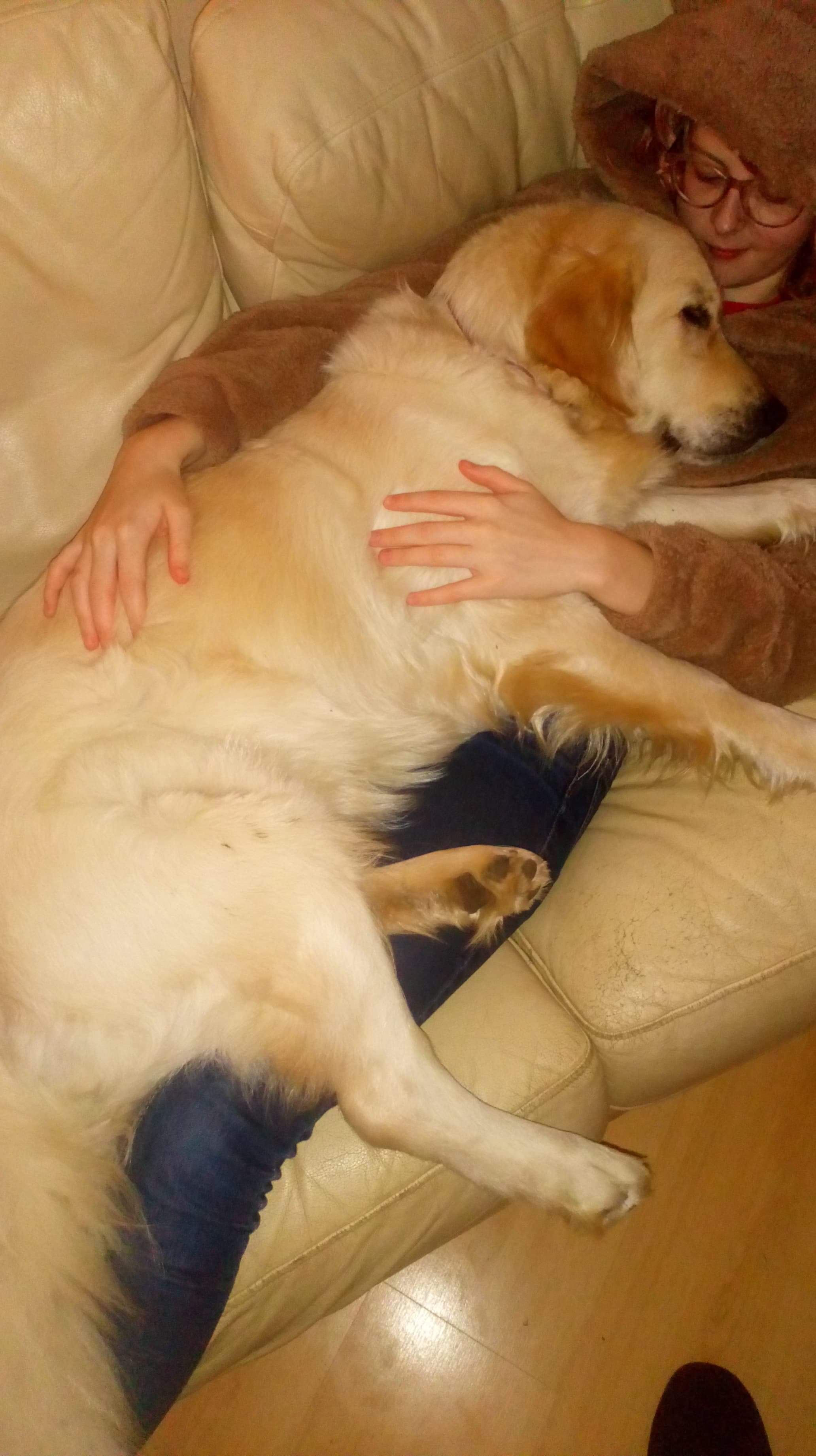 How me and my boyfriends dog the new year r/aww