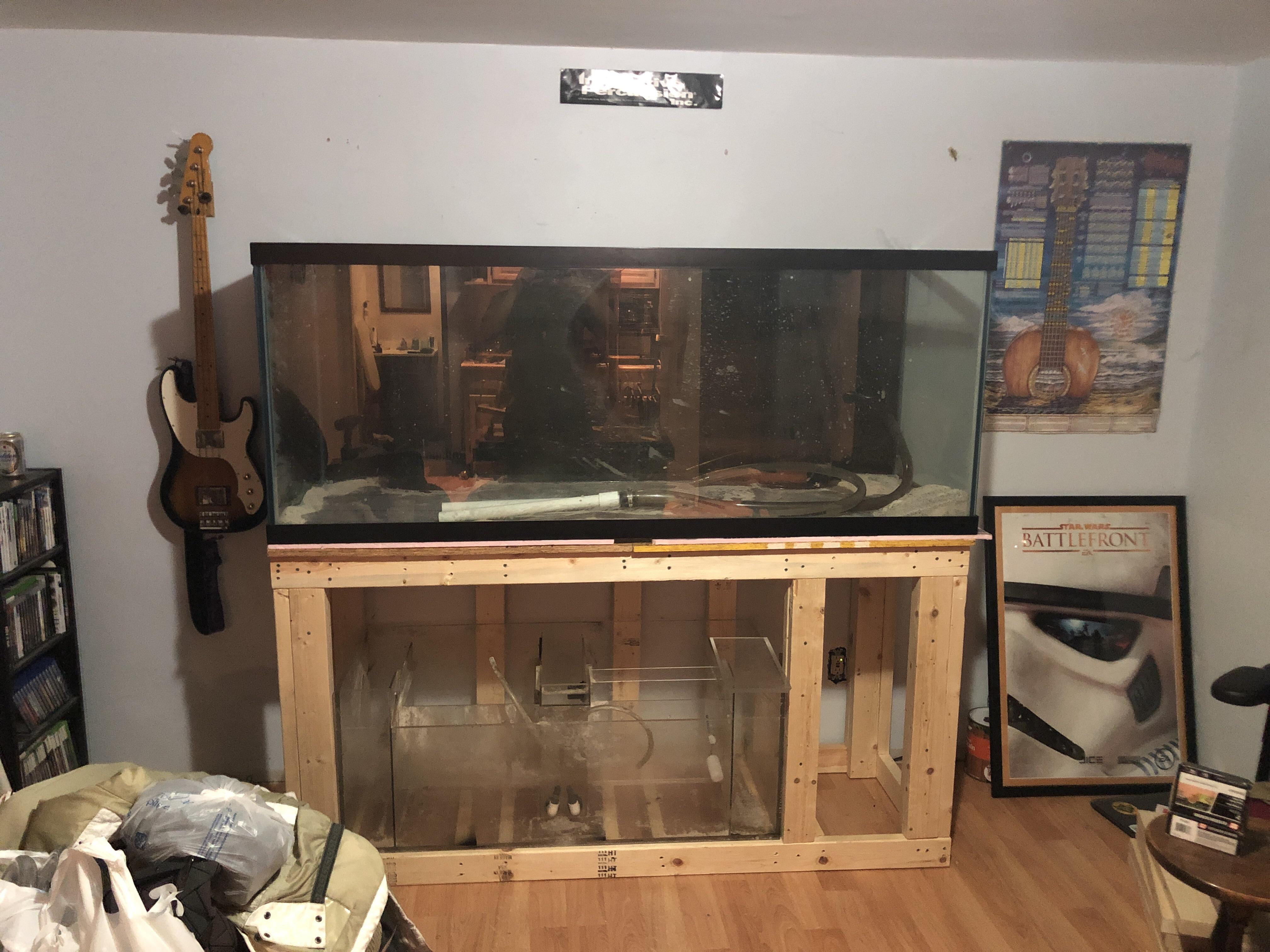 Getting the 250 gallon setup for the shark r/Aquariums