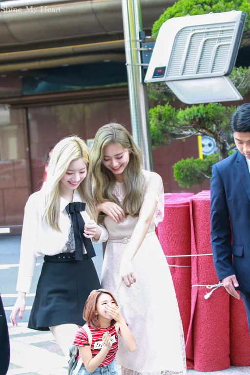 Tzuyu & Dahyun mocking Chaeyoung's height again twicememes