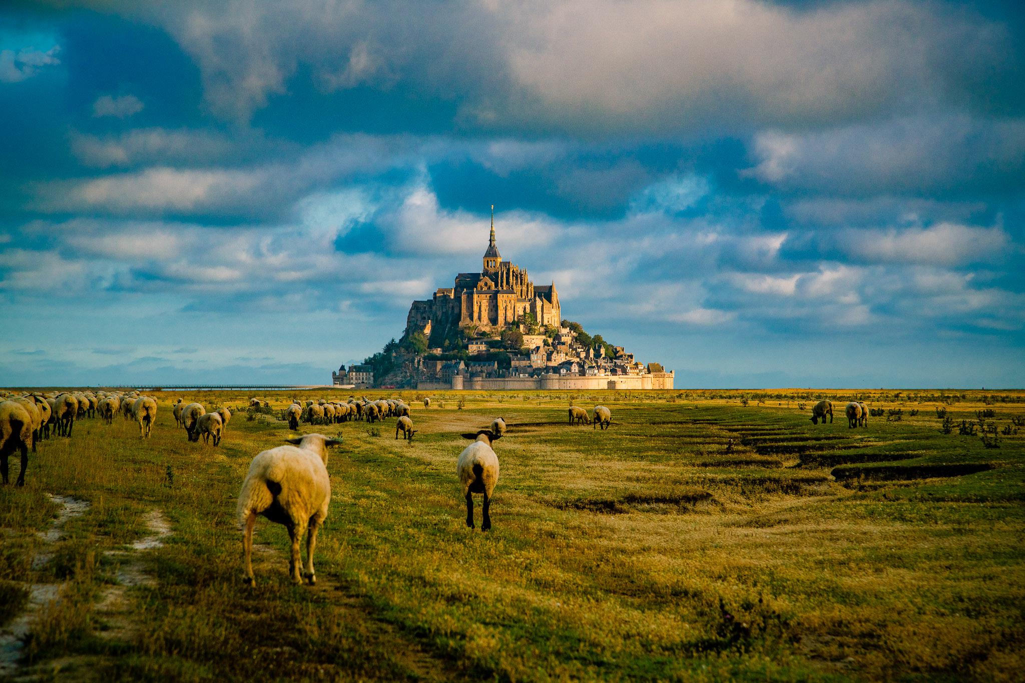 Interesting Photo of the Day A Flock to Mont SaintMichel