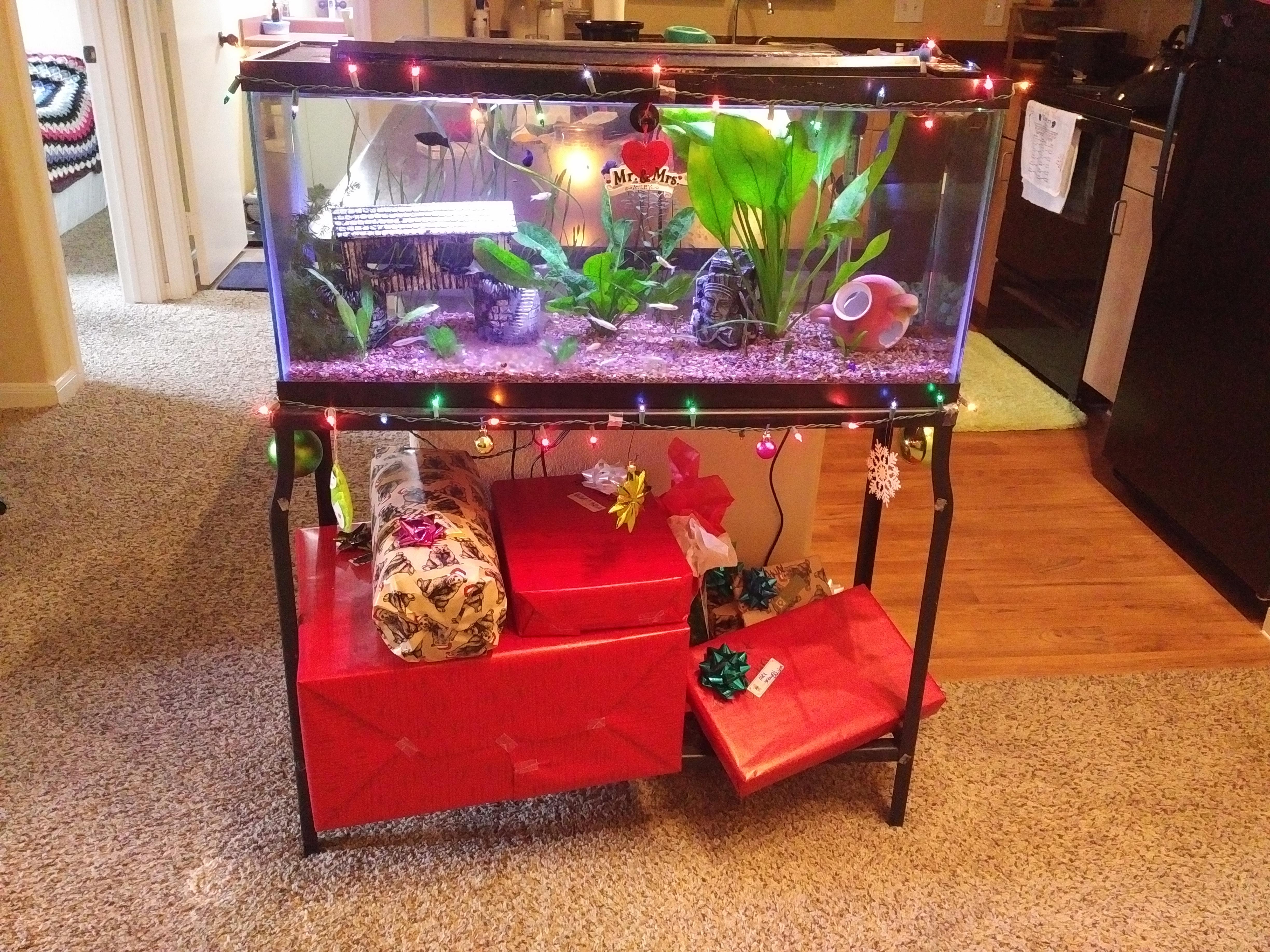 My unconventional Christmas tree ) r/Aquariums