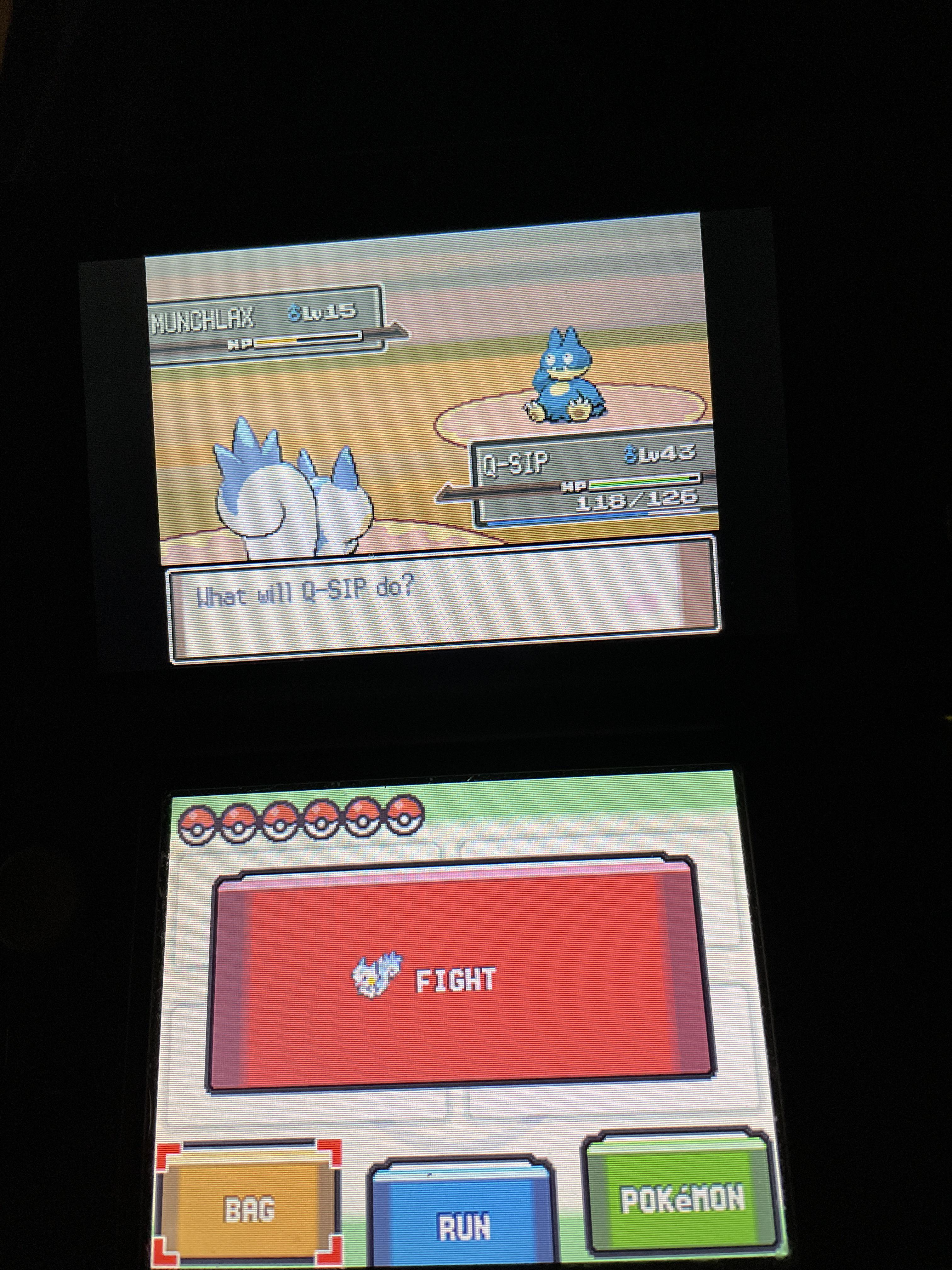 Finally got a munchlax tree after 2 months checking daily! r/ProfessorOak