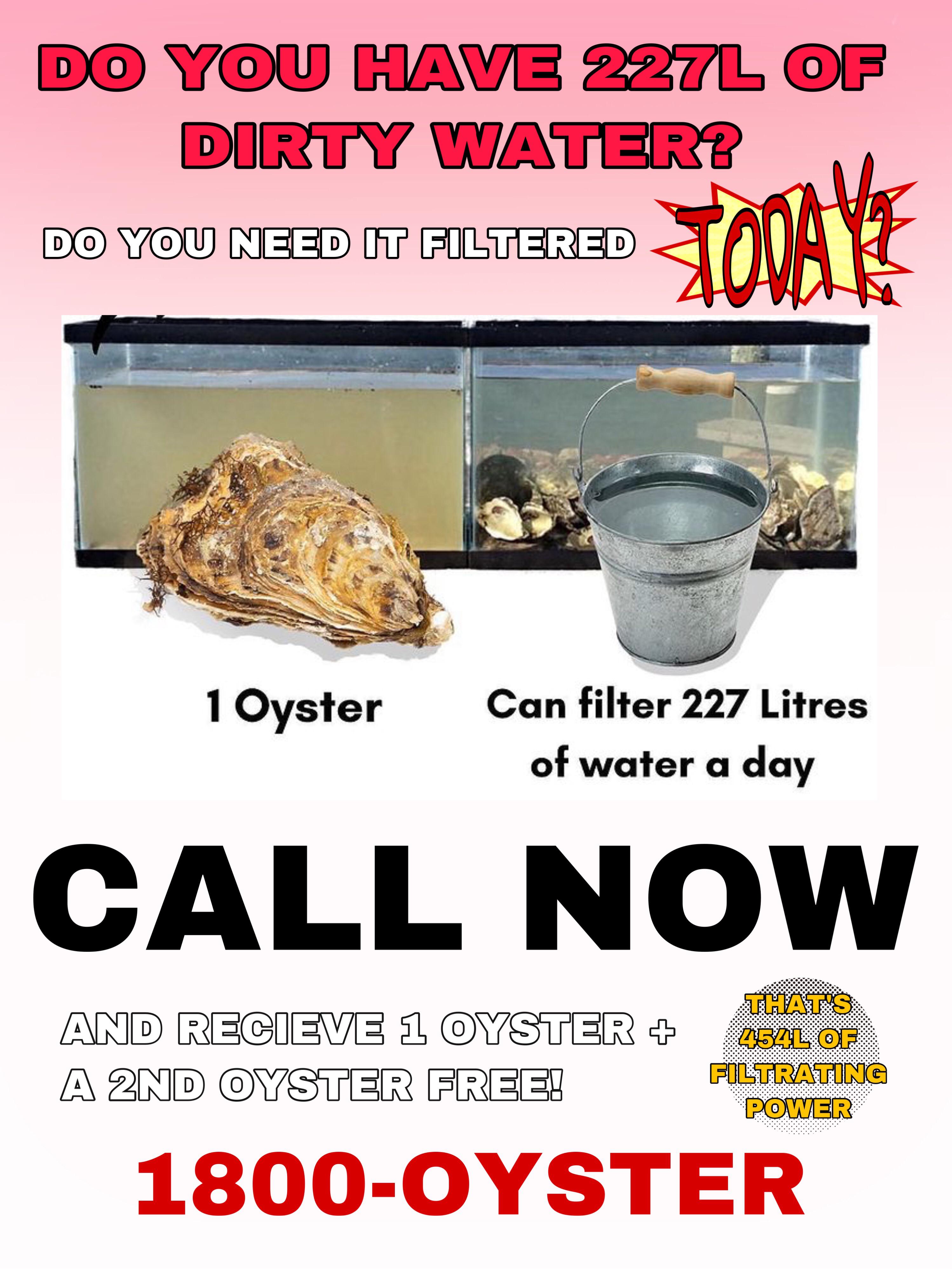 Whenever I see videos outlining how well oysters filter water I think