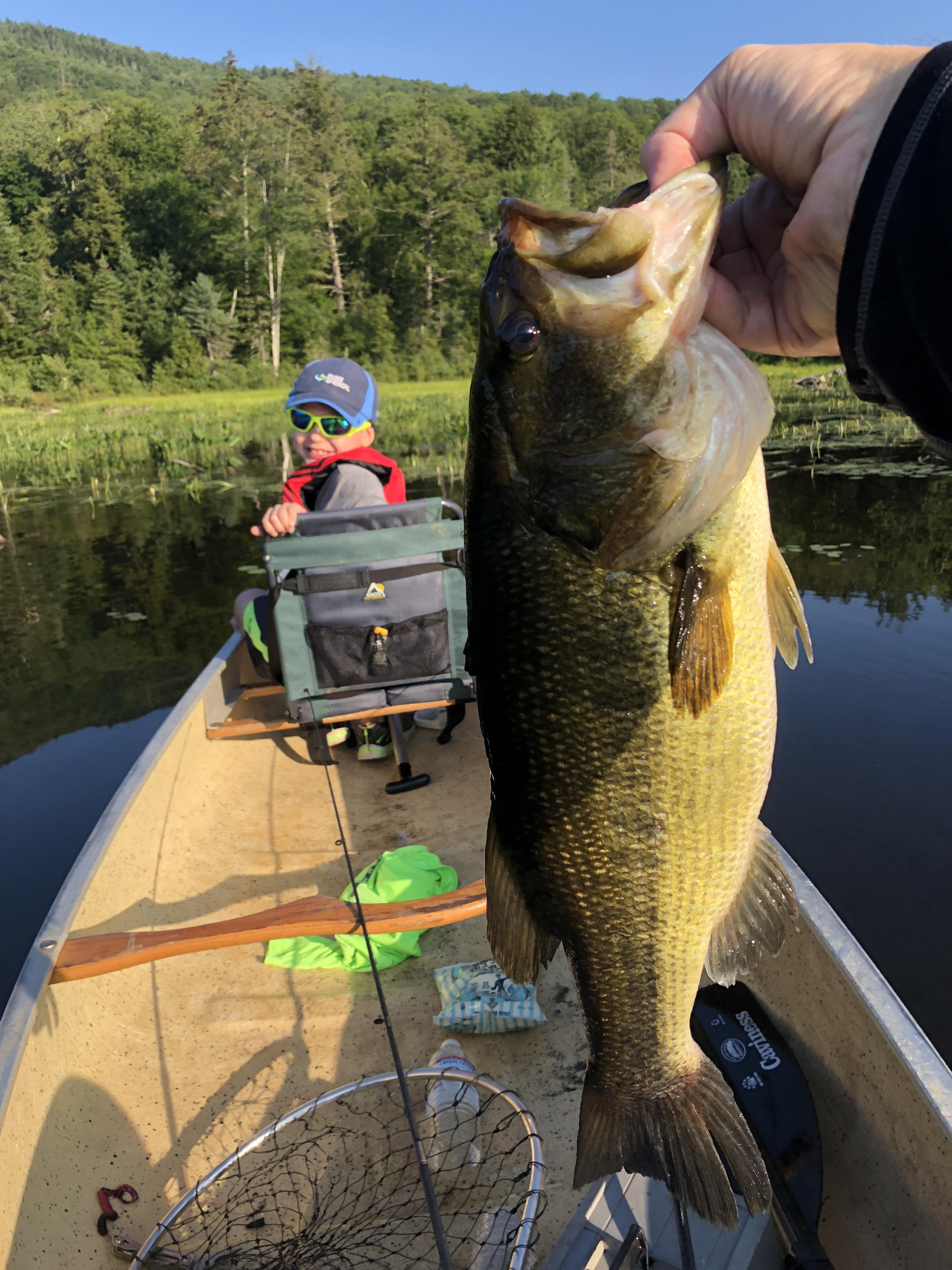 Largemouth Bass Lake, NY. Caught mid morning with a maroon and