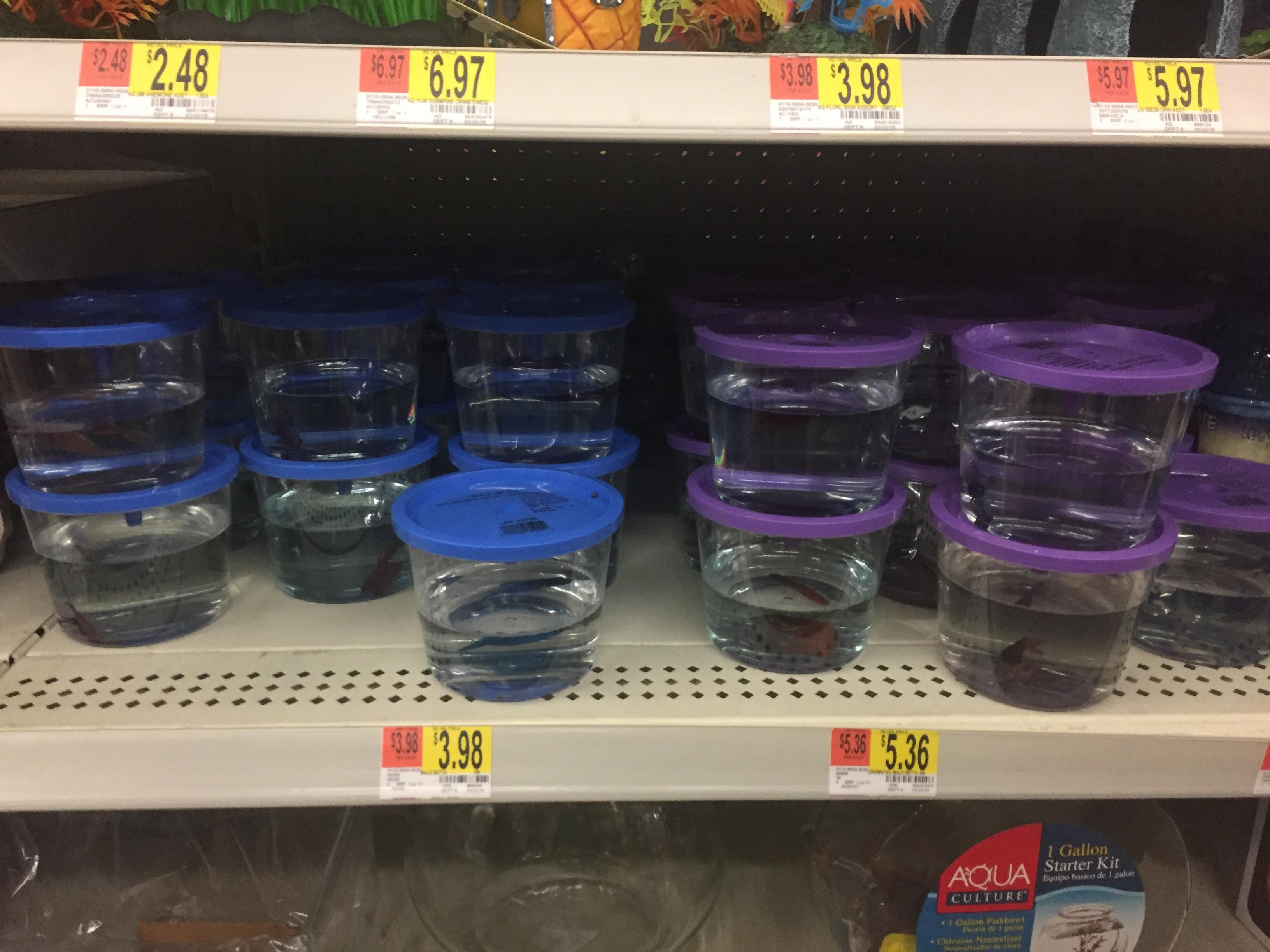 Beta Fish on a Shelf at Walmart r/Anticonsumption