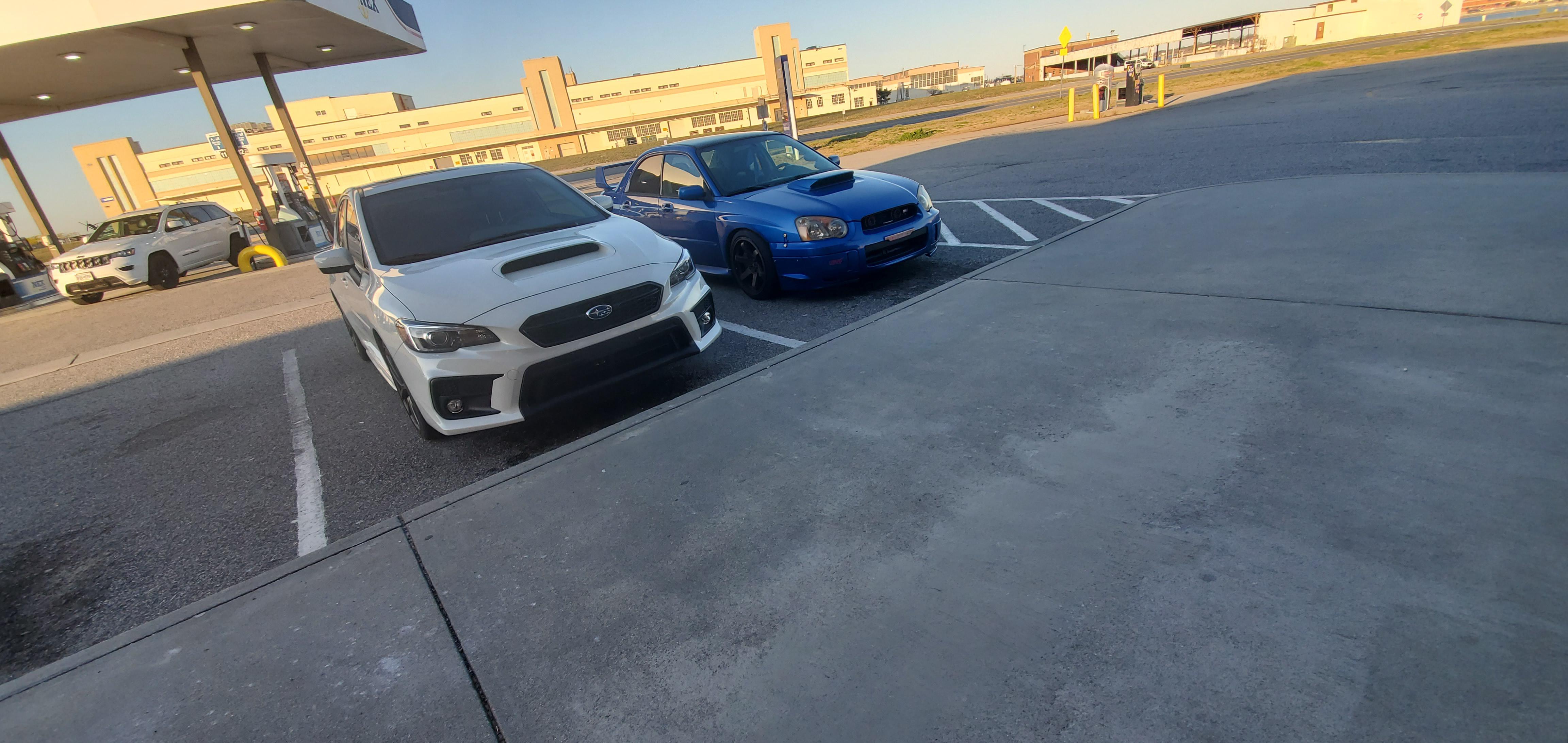 Found a wild parking buddy last night, crazy how these cars have