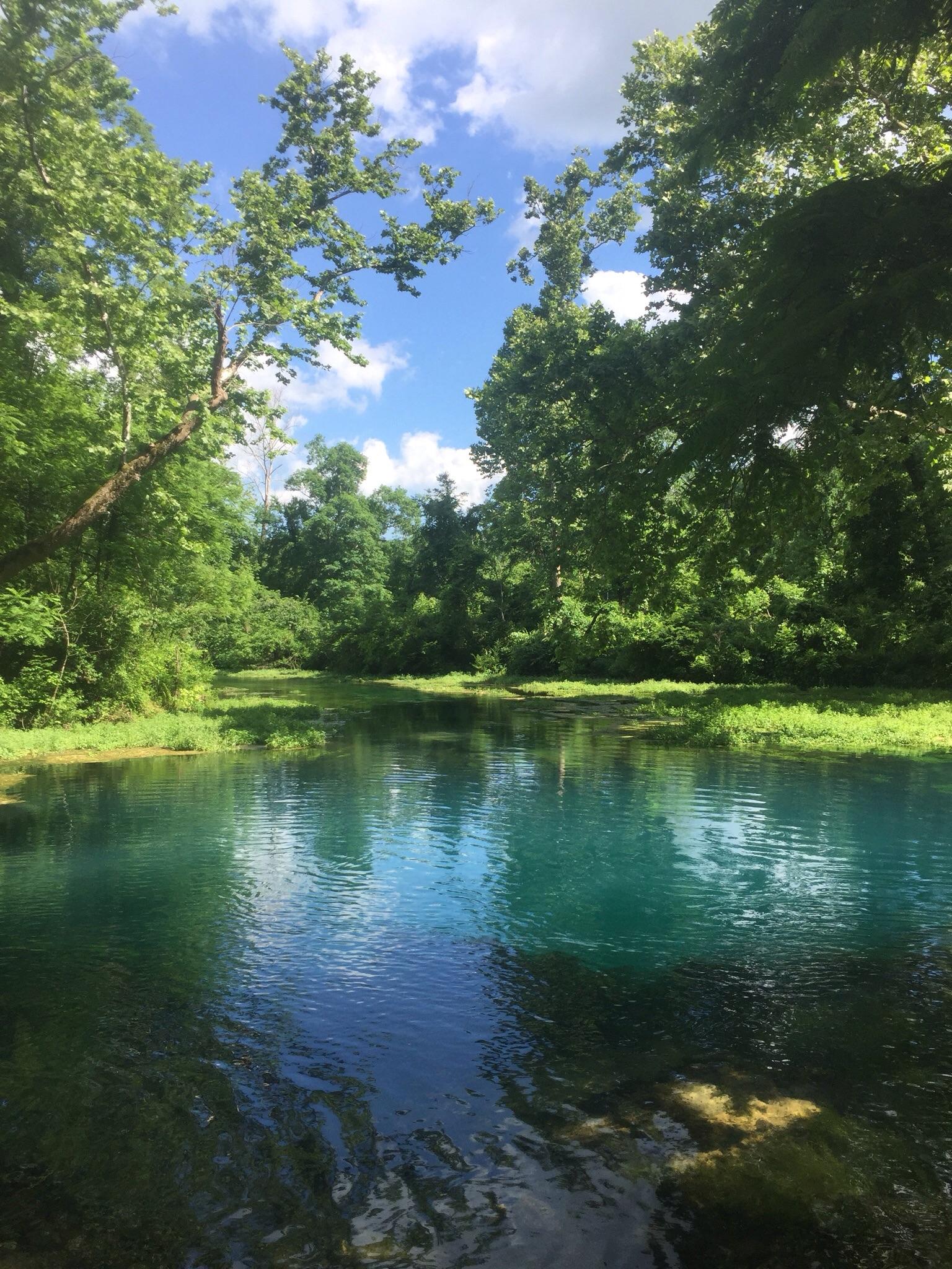 Beautiful spring on the Eleven Point river in Missouri. r/Outdoors