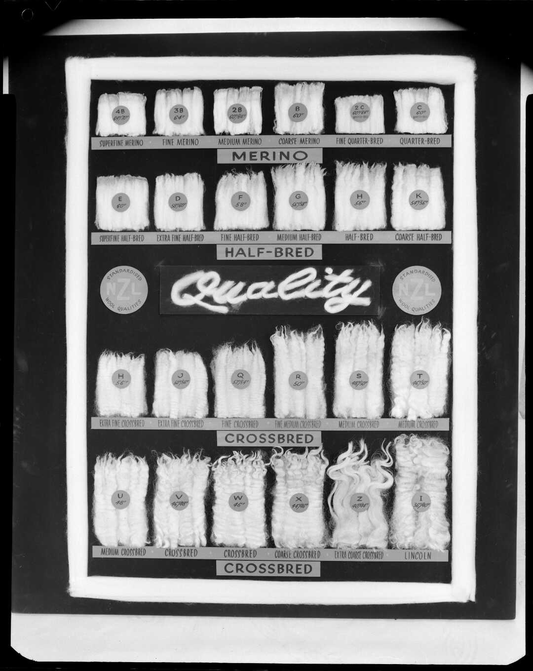 NZ Wool Board, circa 1940's r/newzealand