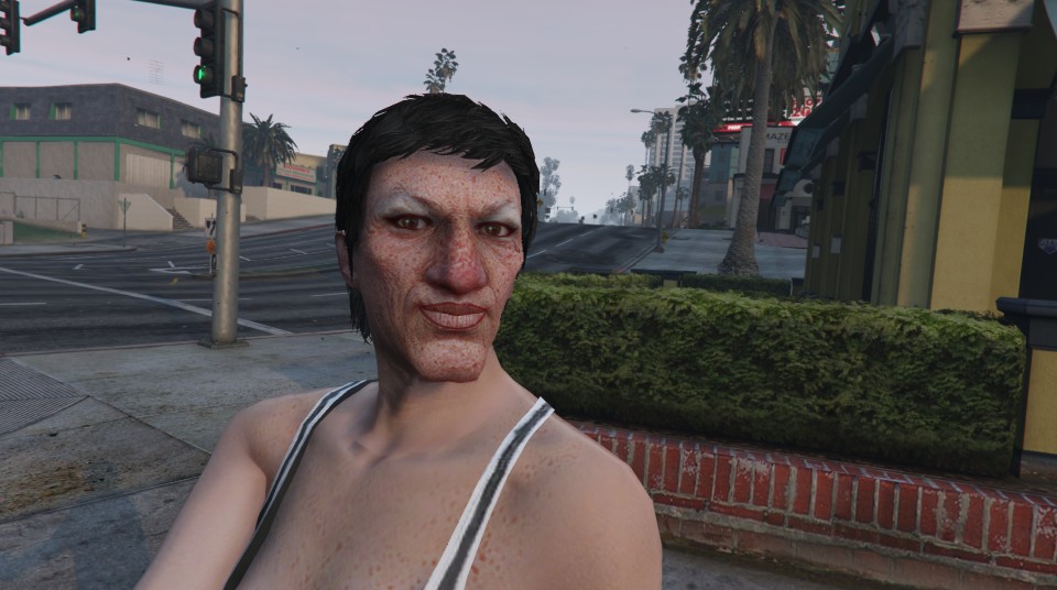 We Should be able to change our gender in gta, it should be an extra