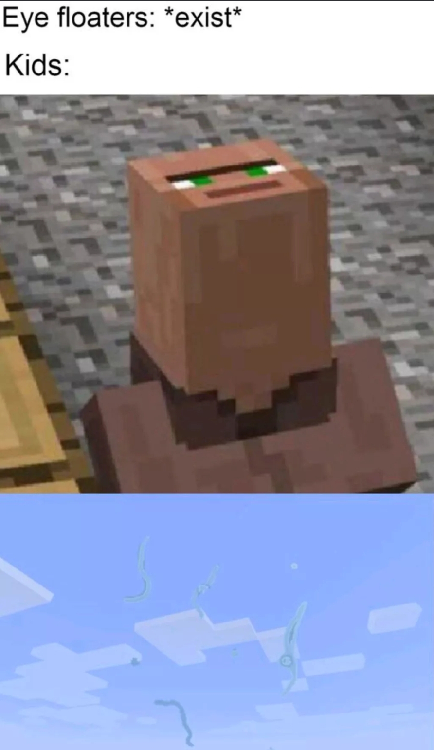 Eye floaters are buggers memes