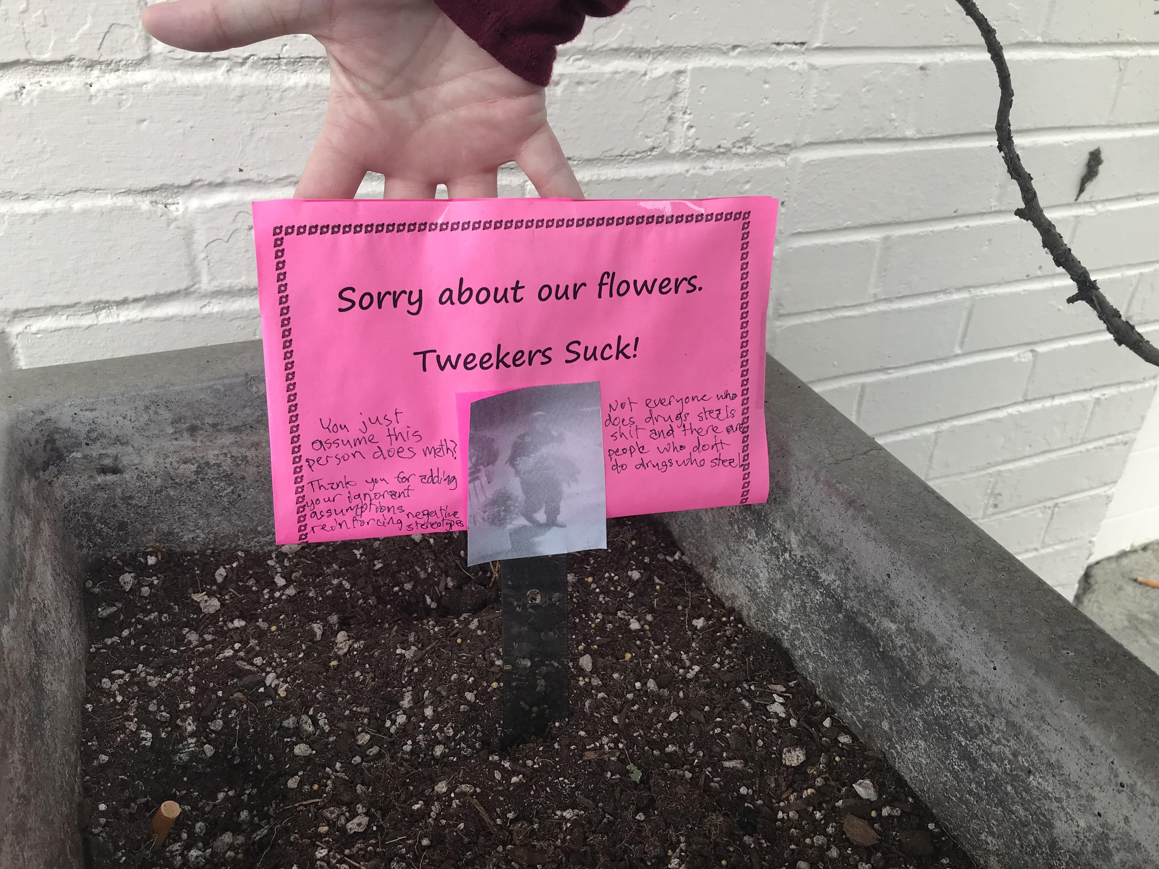Who steals flowers r/pics