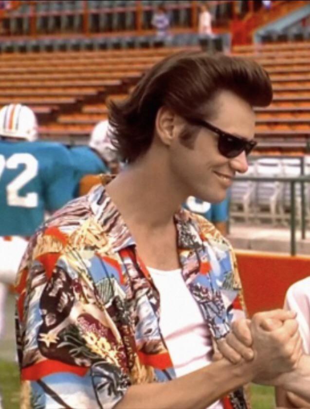 Ace Ventura Pet Detective on Reddit