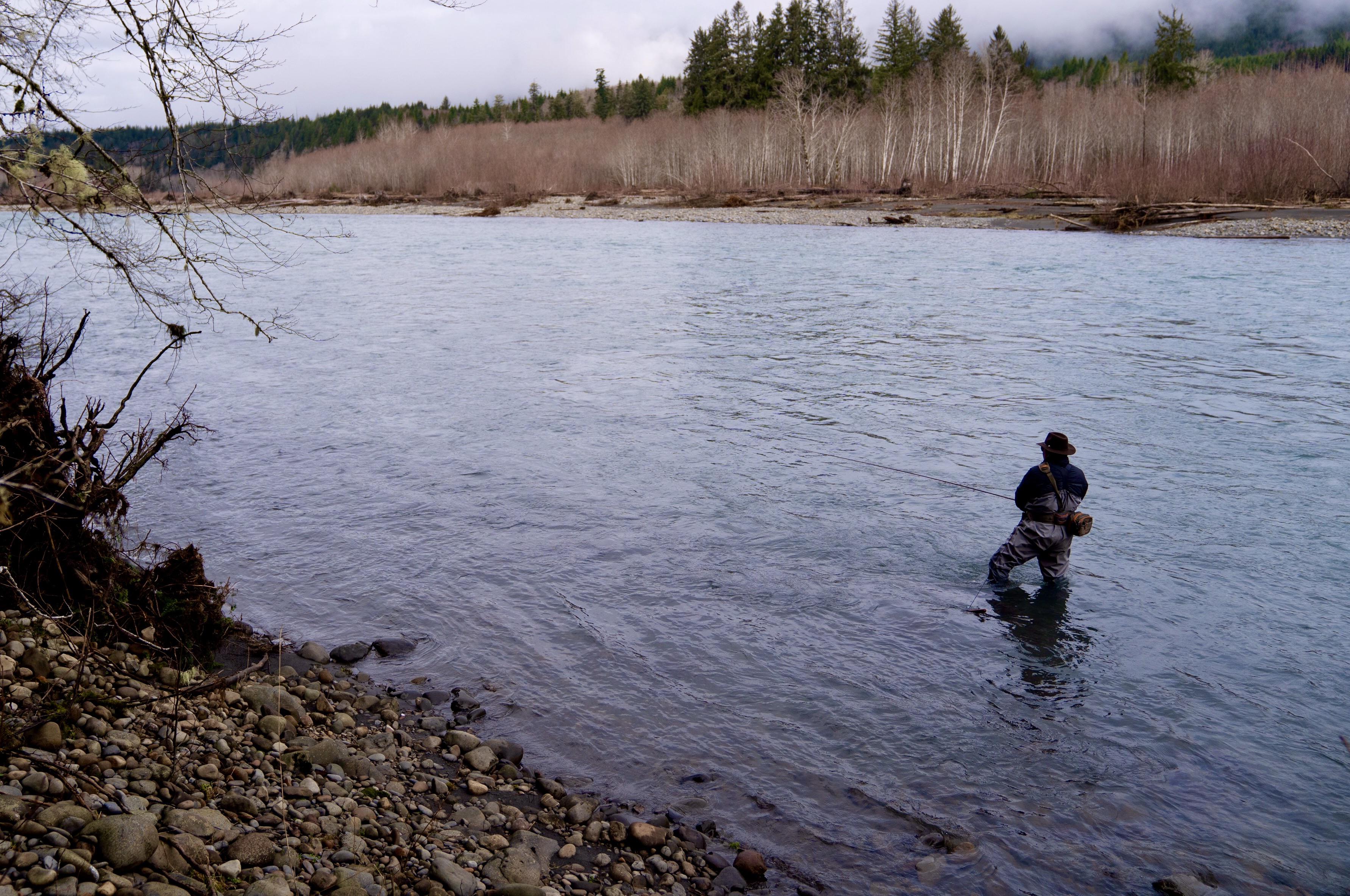 Workin’ a run on the Hoh River for winter Steelhead. r/flyfishing