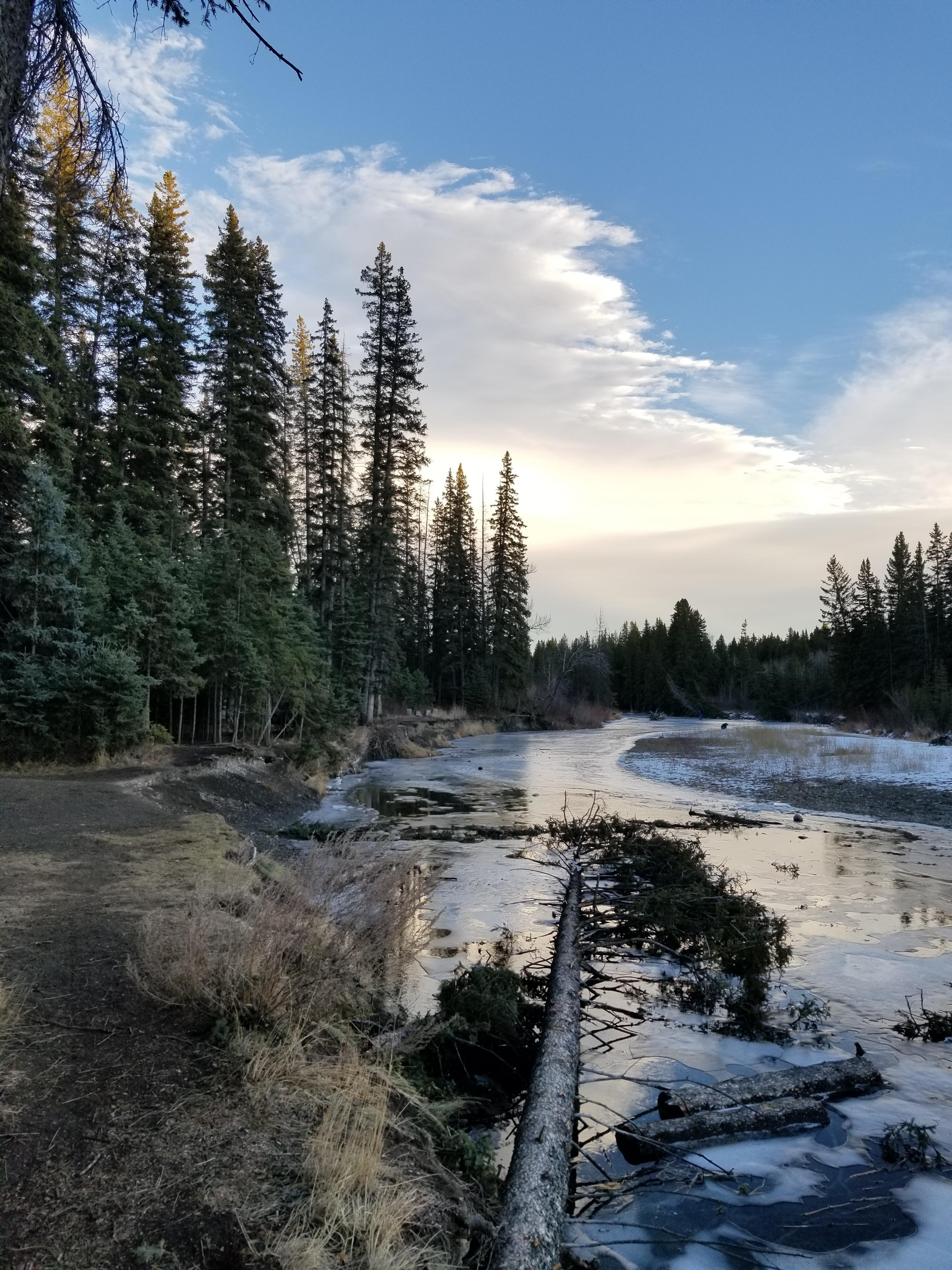 Bebo grove, fish creek. Calgary