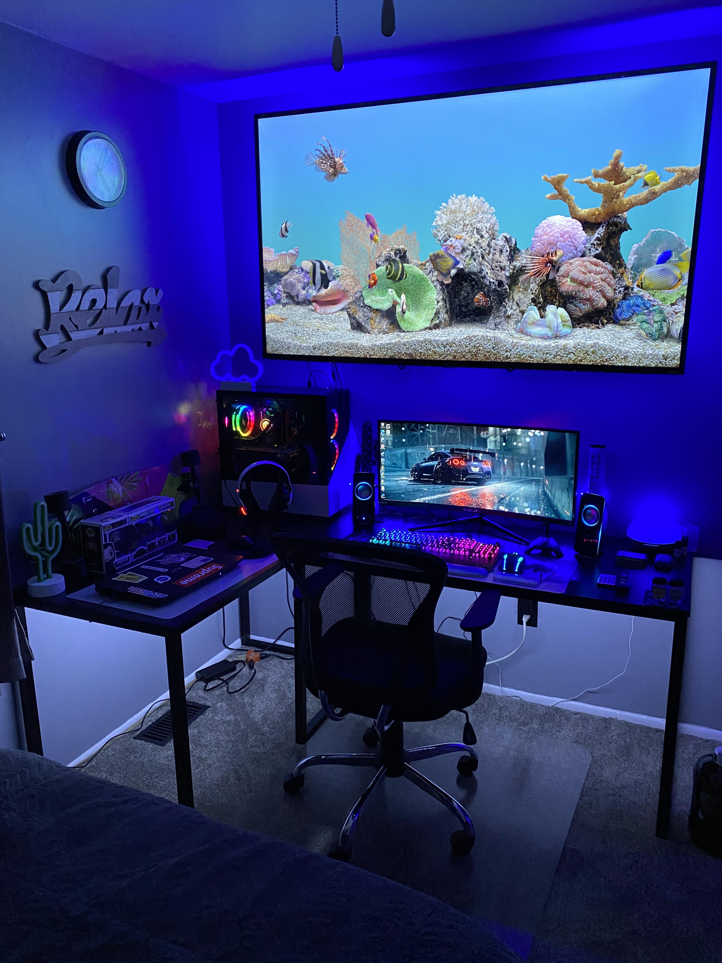 Makeshift fish tank to go along with the setup! r/gamingsetups