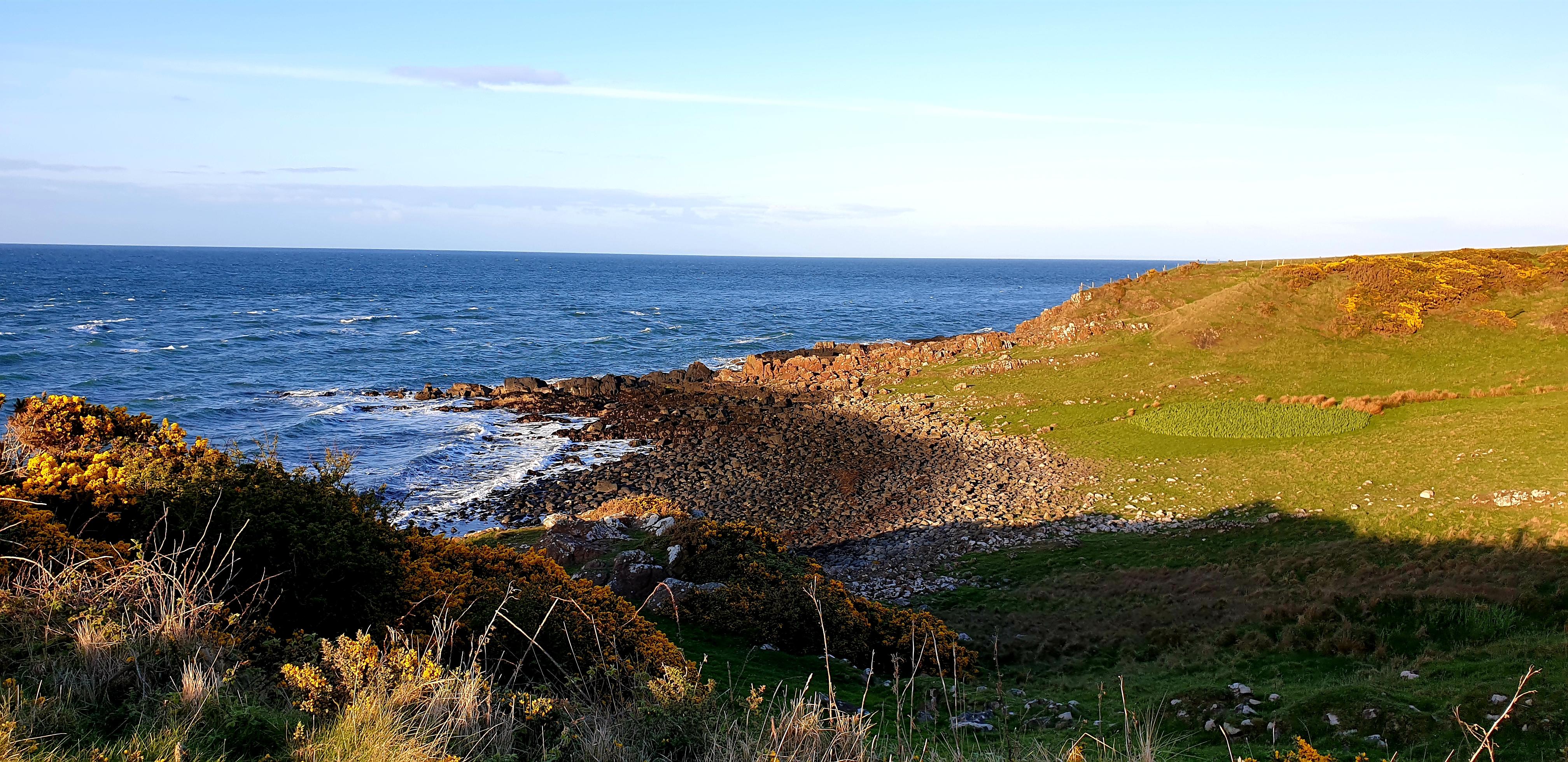 Brown's bay, Islandmagee, Larne yesterday. Taken with an S9. r