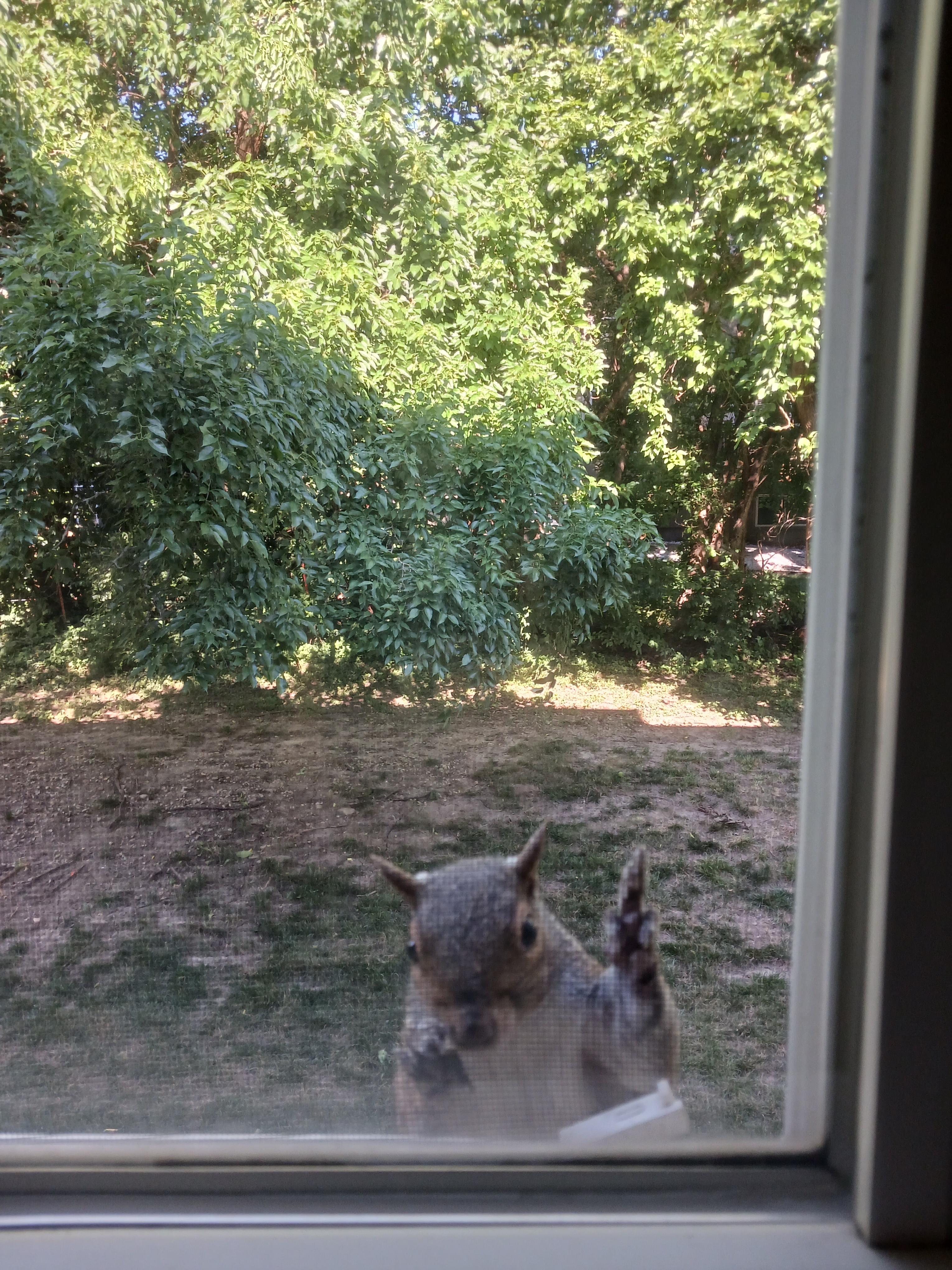 Here's what I saw when I opened my bedroom blinds this morning. r