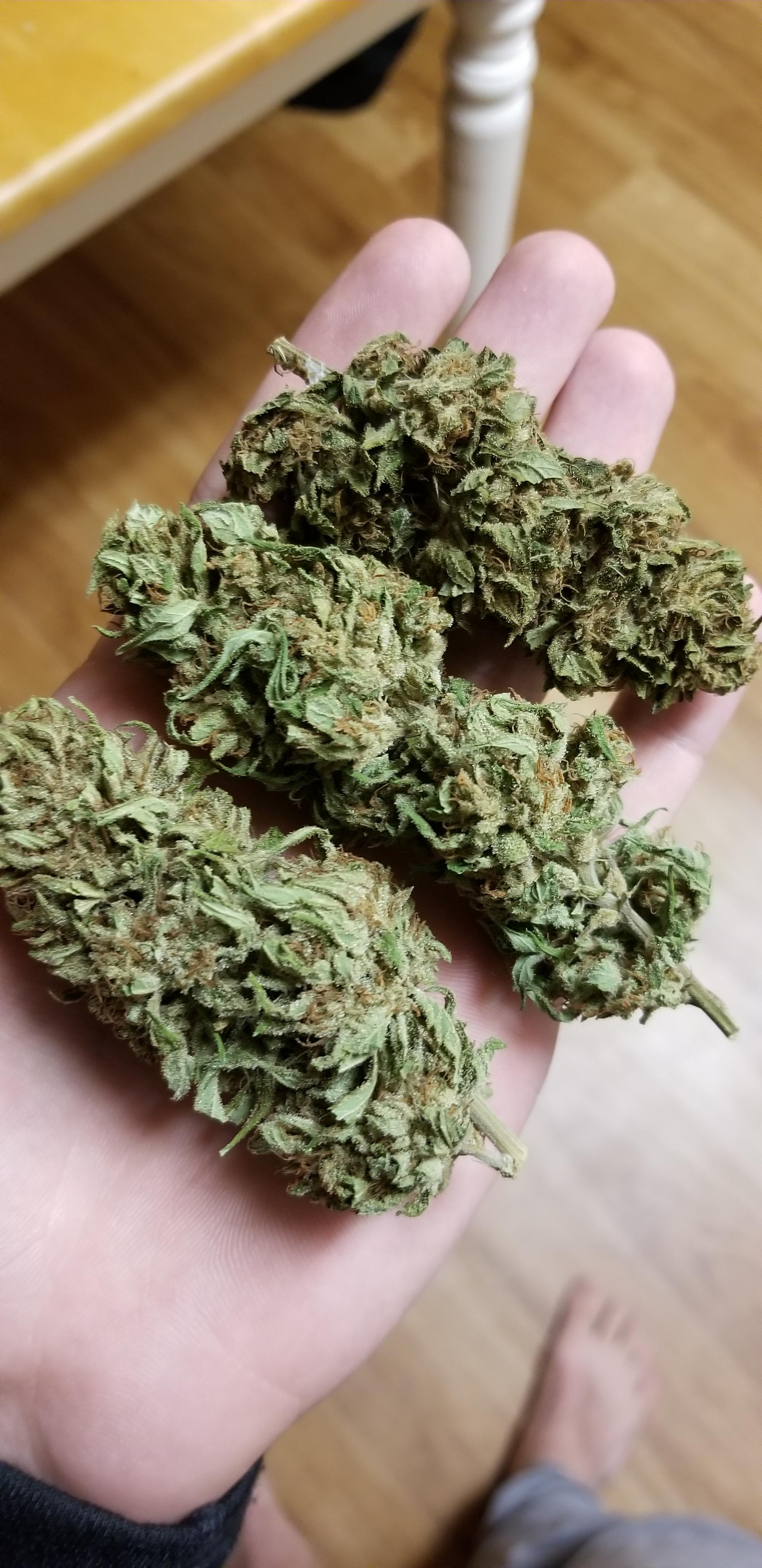 Since the festivities are almost upon us, here are some homegrown