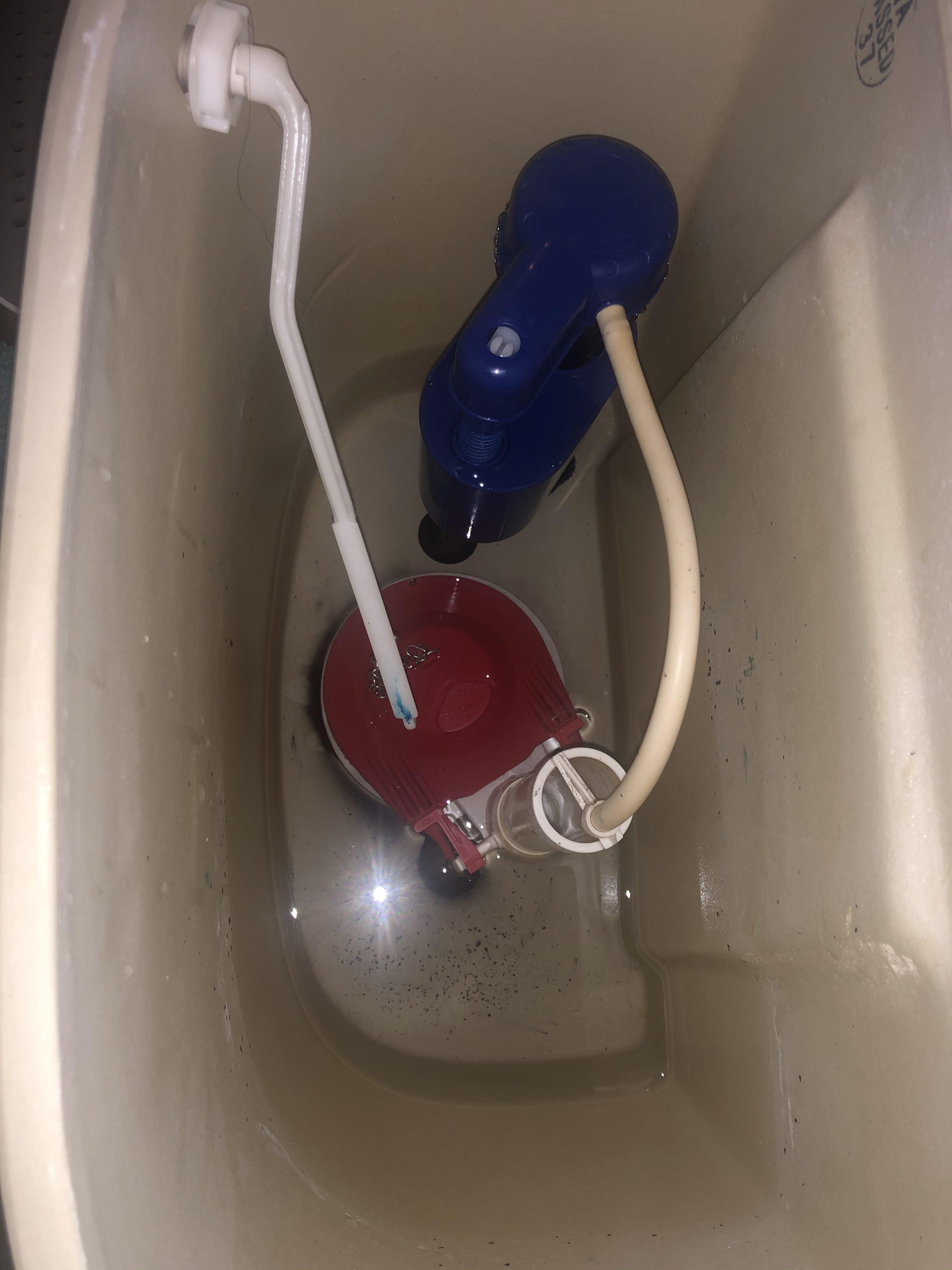 Toilet Tank Draining On Its Own at Clarence Carstens blog