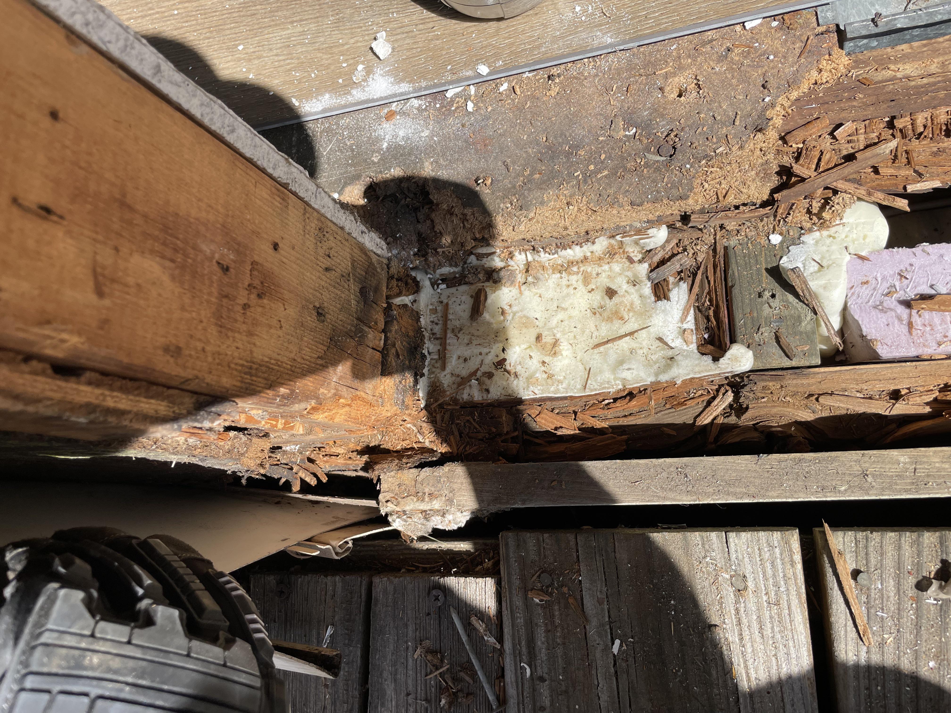 Rotten Rim Joist r/Carpentry