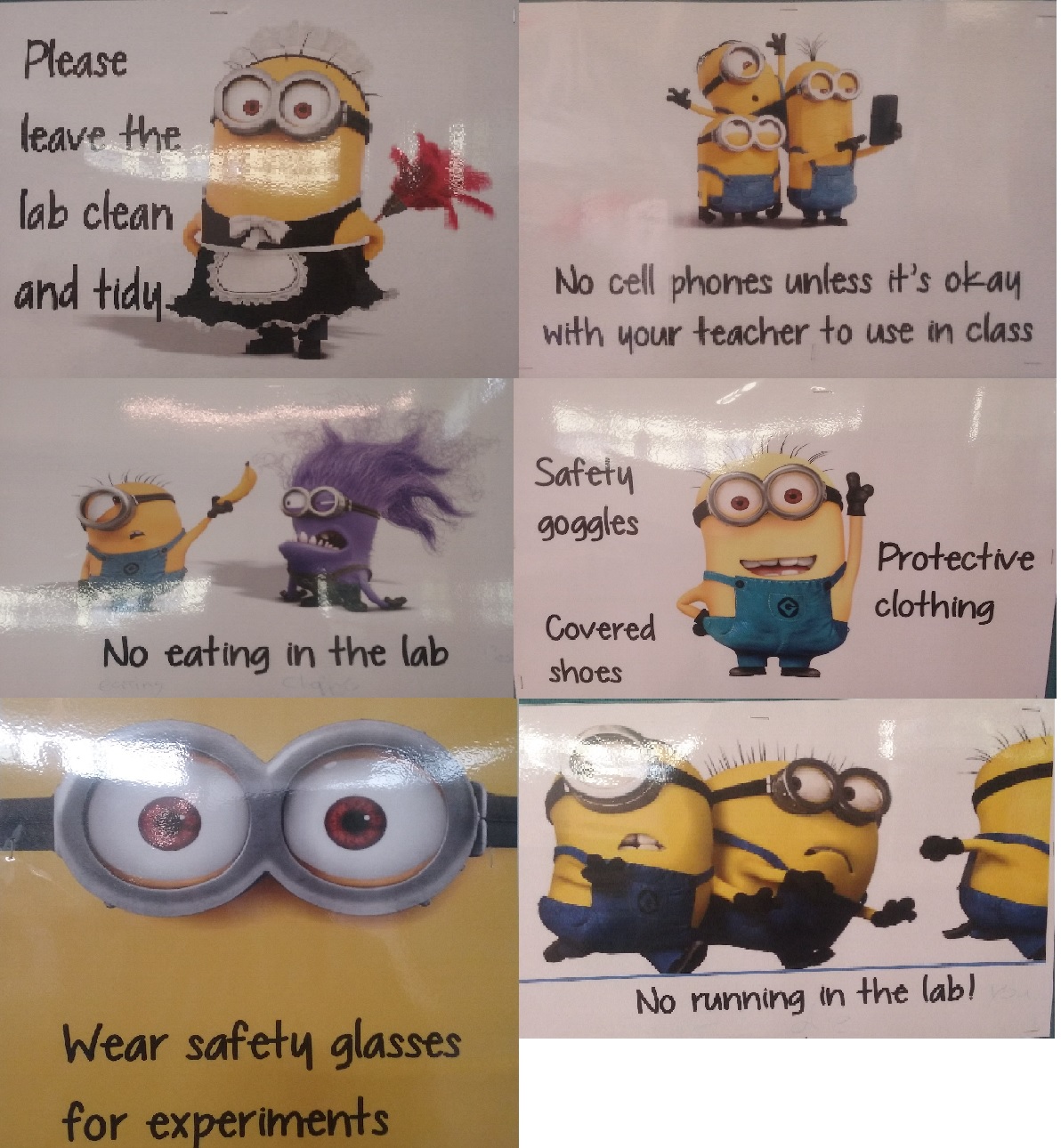 Minion posters in my school's science department r/MinionHate