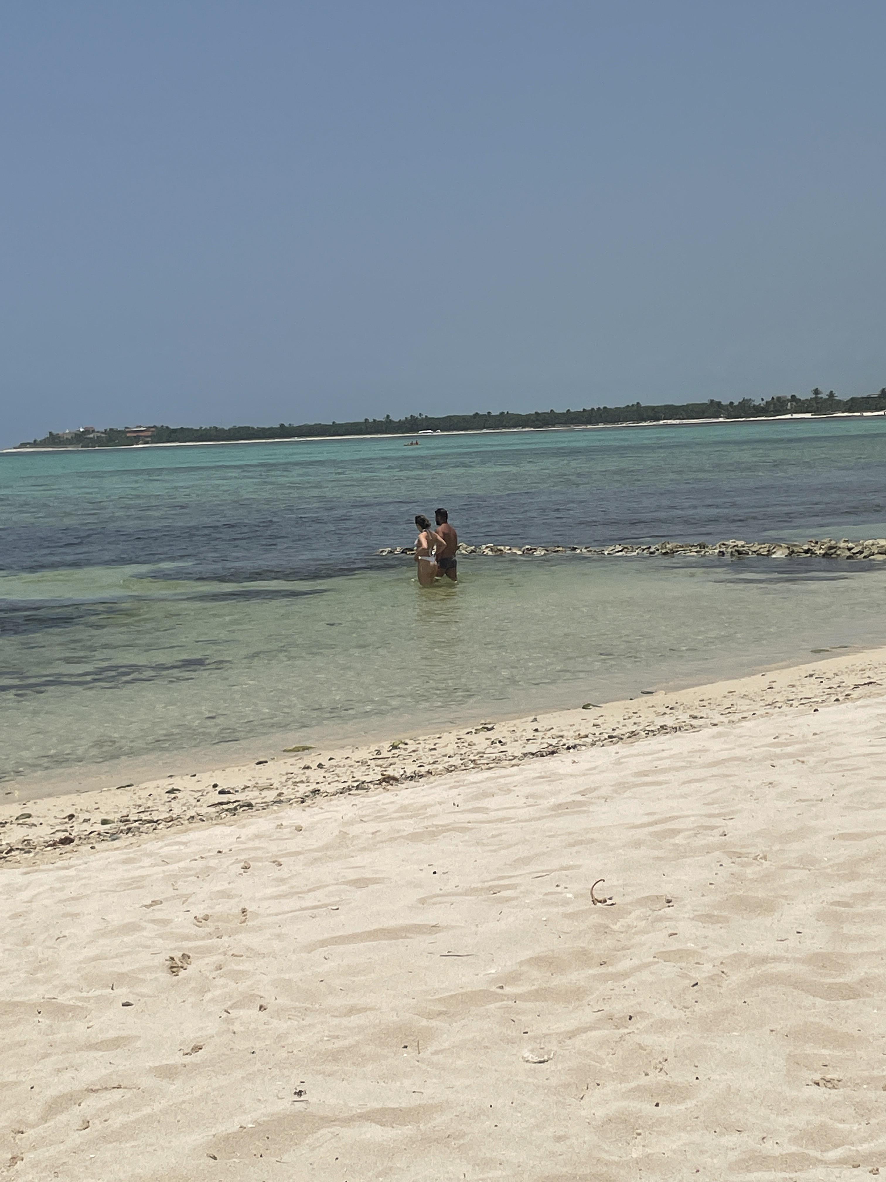 Private driver/transportation? tulum