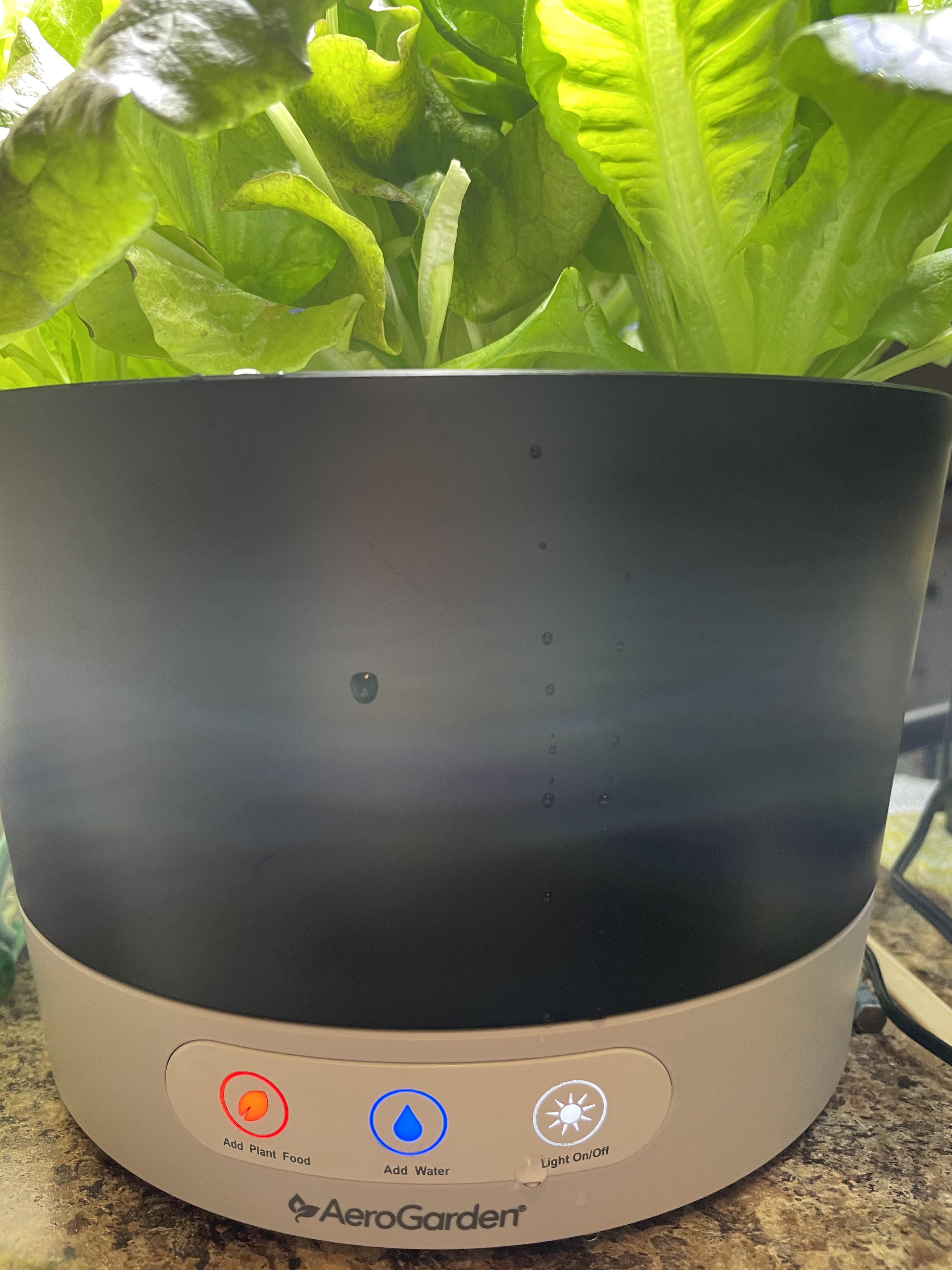 Flashing light wont turn off no matter how many times i push the button