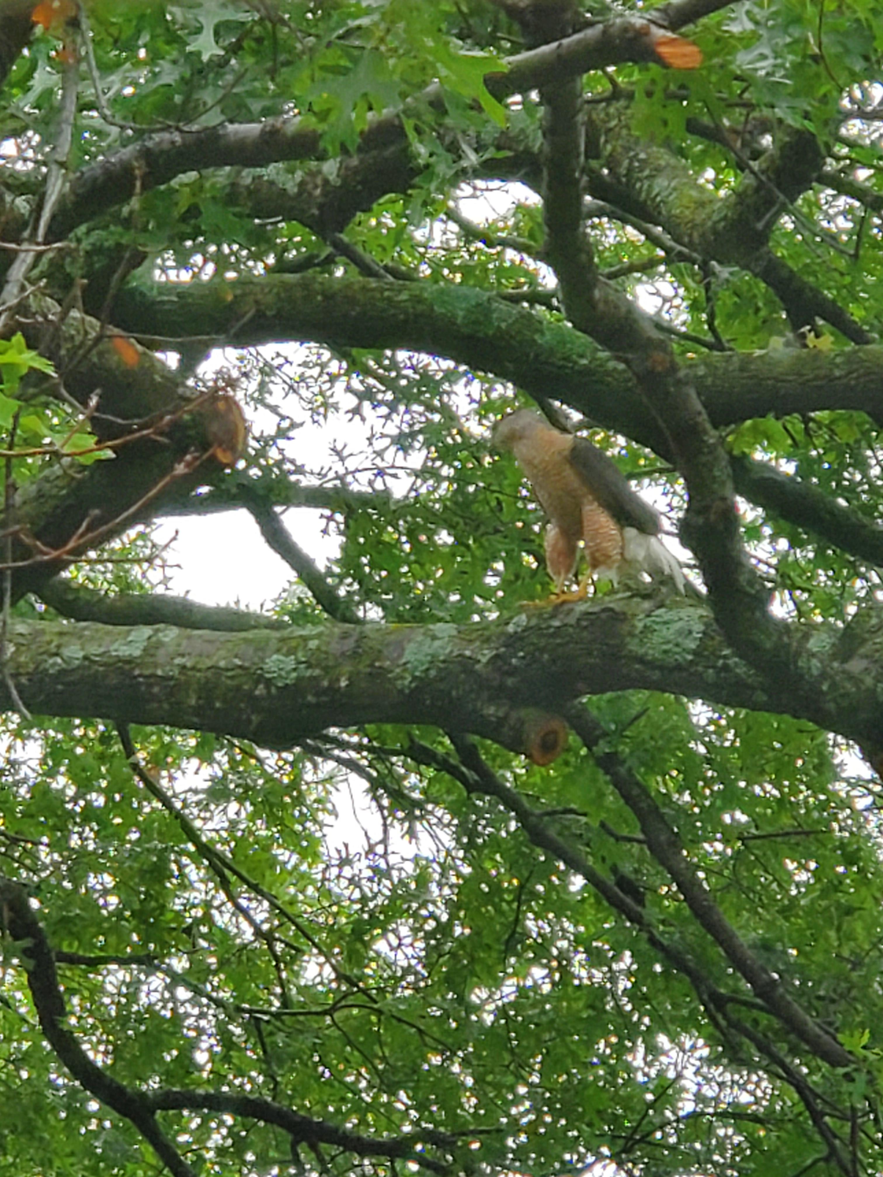 94 best White Rock Lake images on Pholder Dallas, Po Go DFW and Kayaking