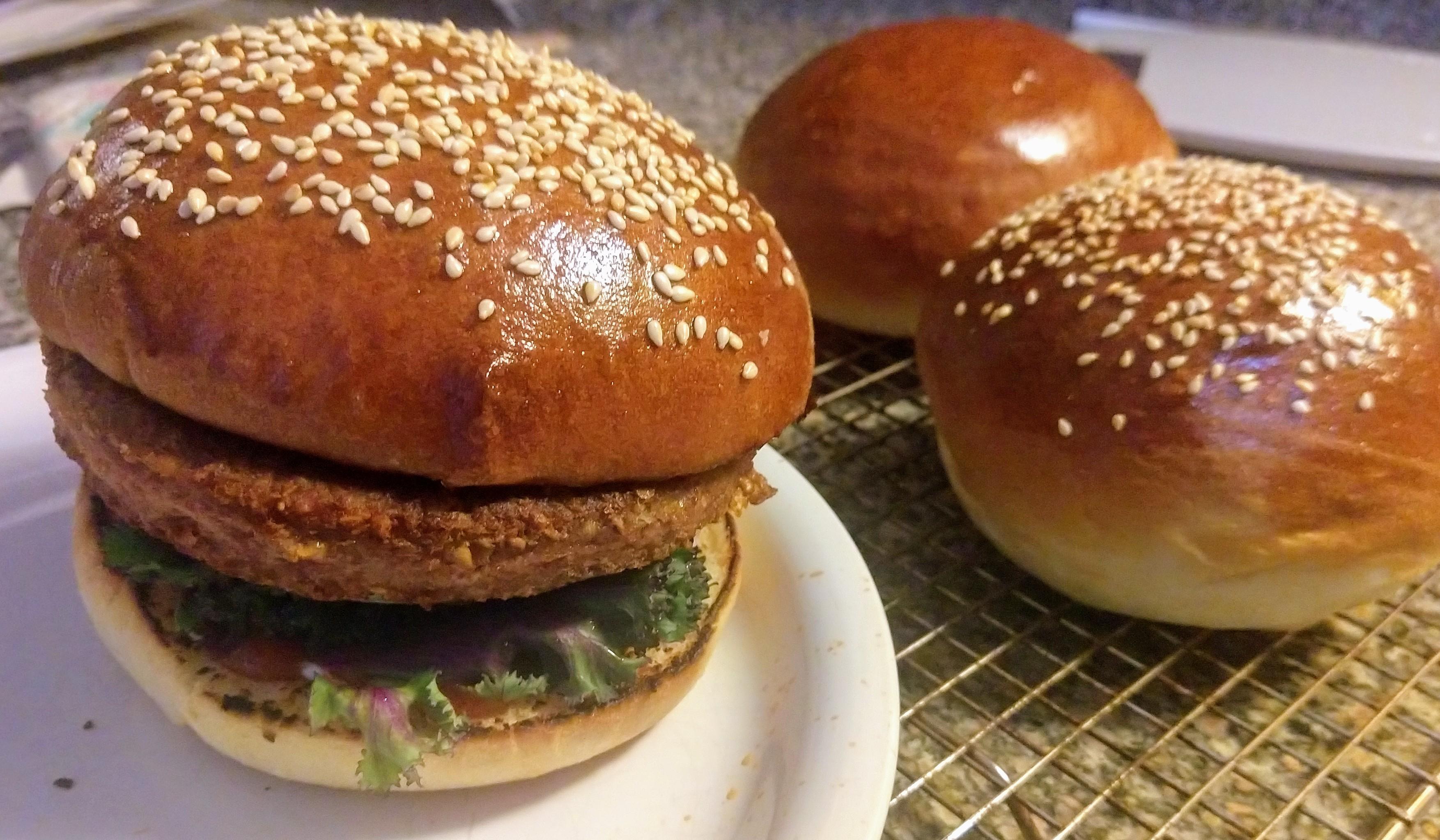 Check out my buns. r/Breadit