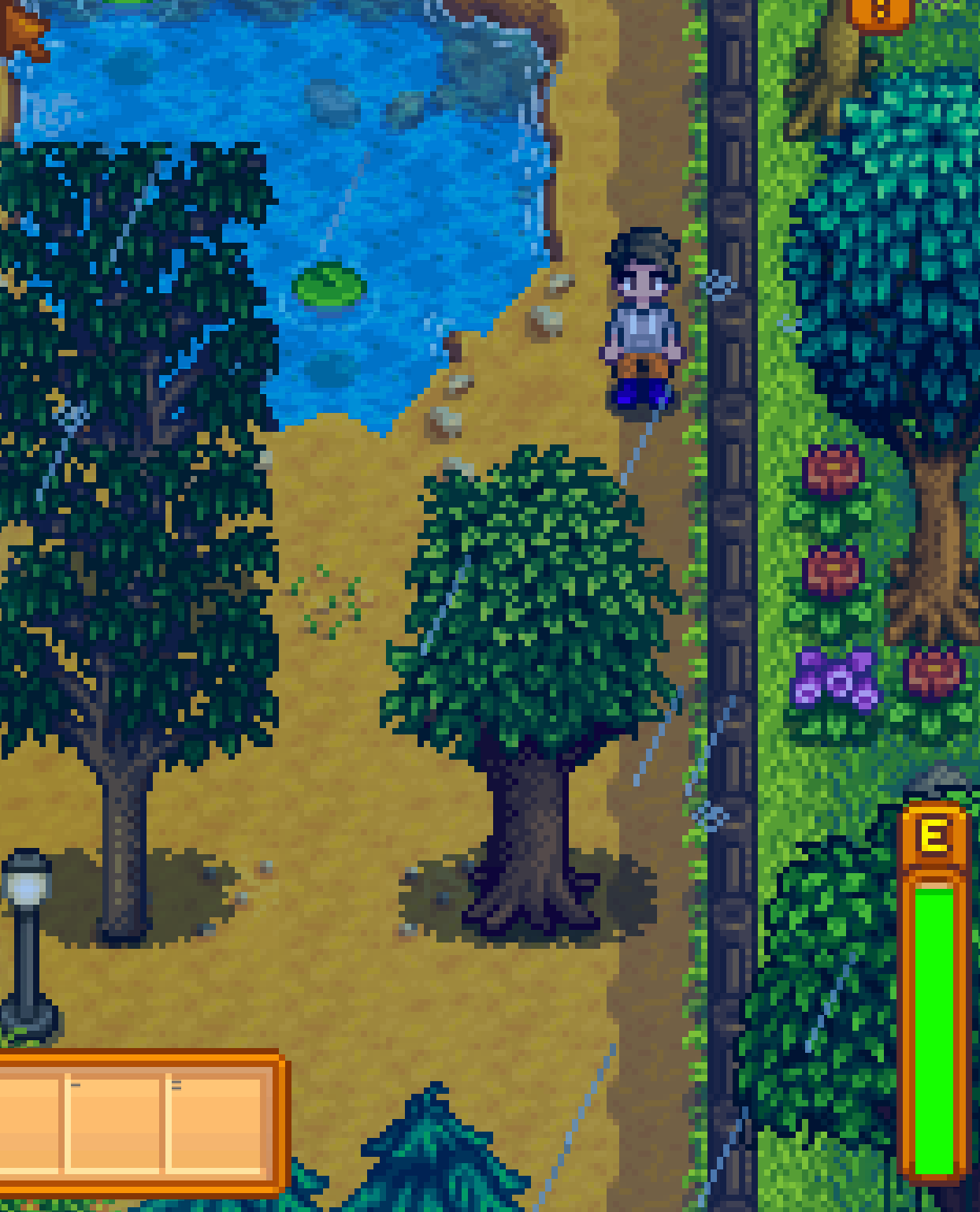 Why won't my Pomegranate Tree produce fruit? I've given it a 3x3 grid