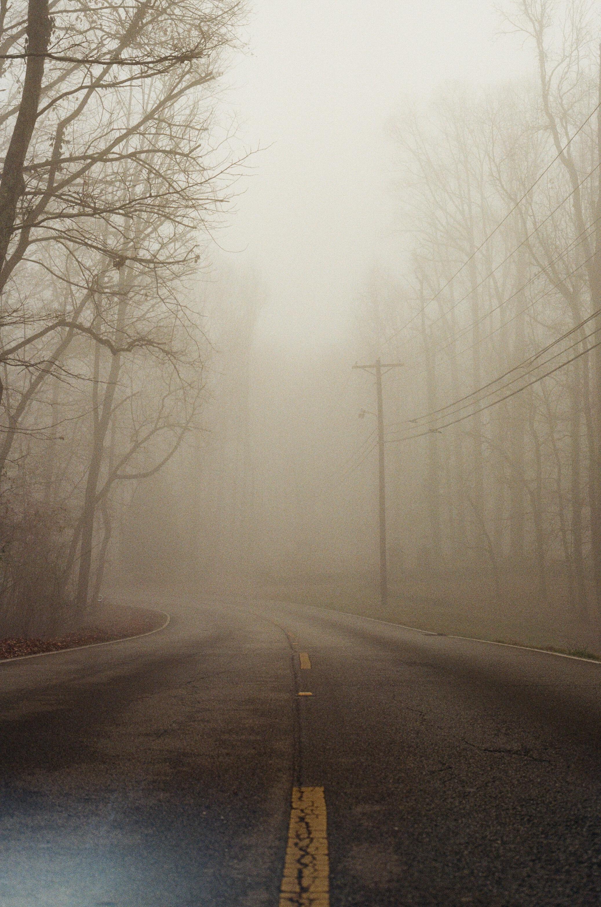 Foggy morning Canon AE1/50mm/Colorplus 200 r/analog