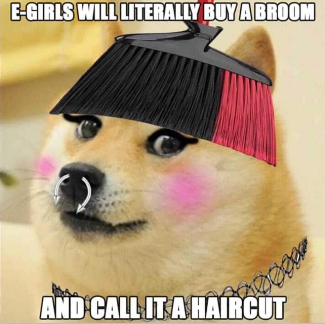 Doge E Girl Meme apsgeyser