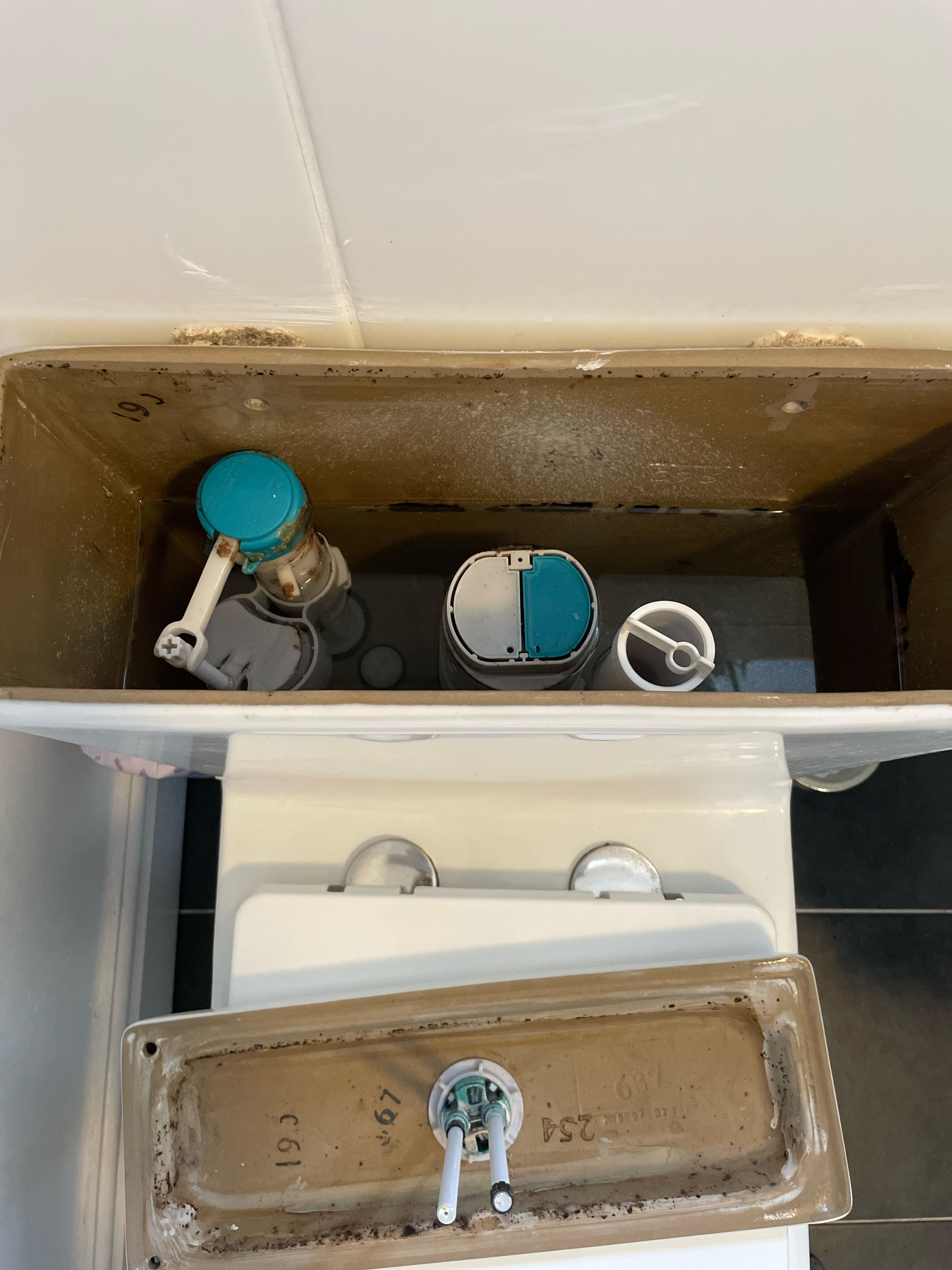 How can I improve toilet flush? Water stops halfway up cistern r/Plumbing