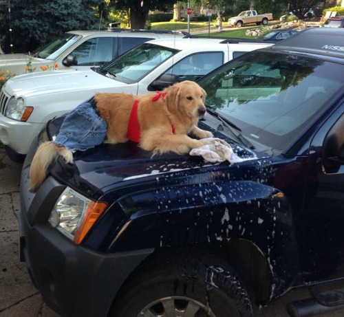 Would you like a car wash? funny