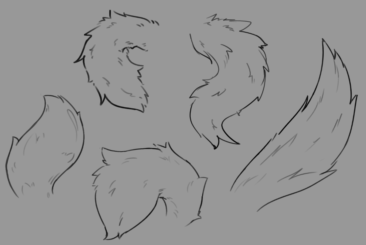 How To Draw A Wolf Tail