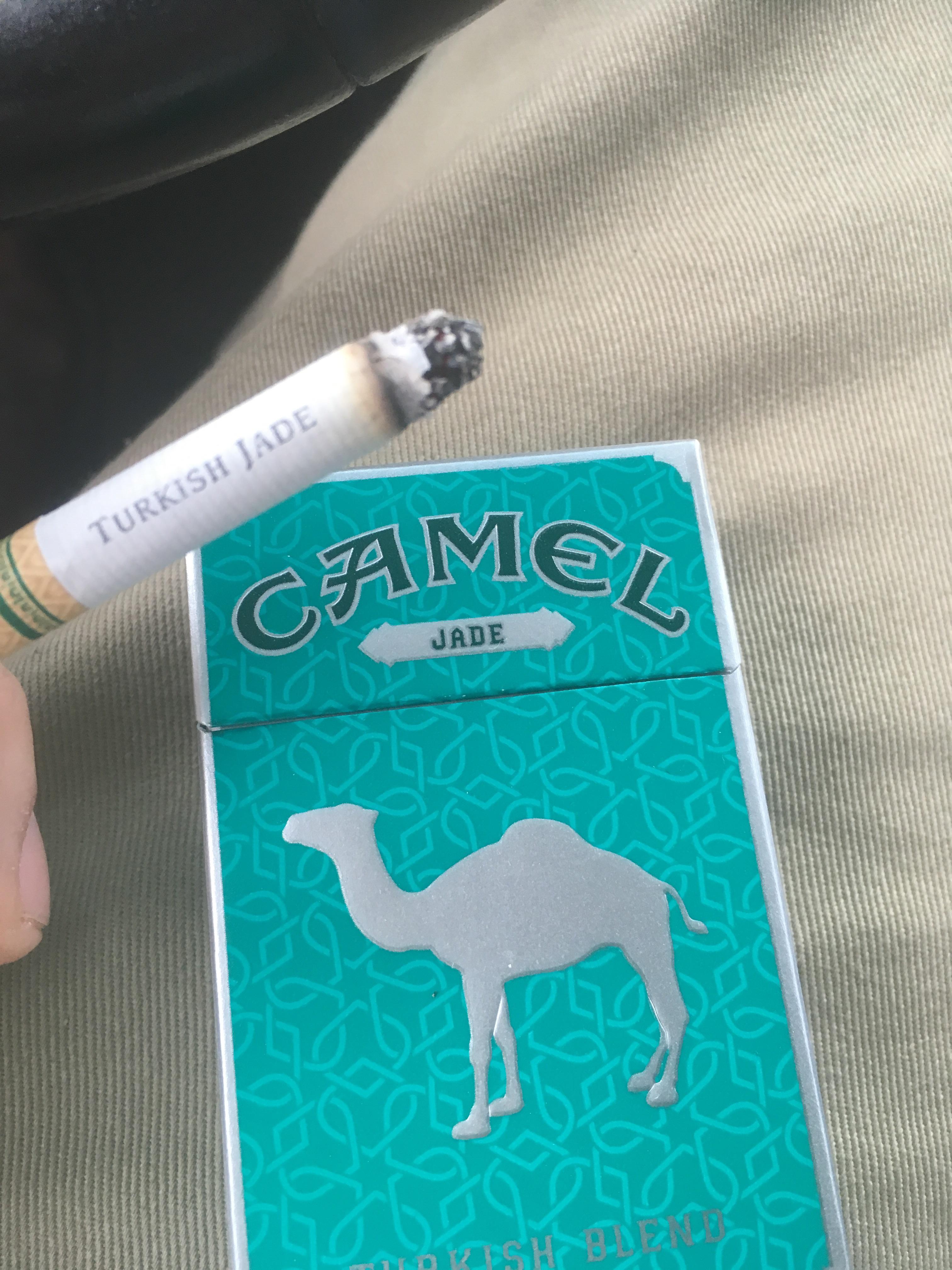 Camel Turkish Jade Silver Nicotine Content / Submitted 3 years ago by wayward_dani. fikasirt