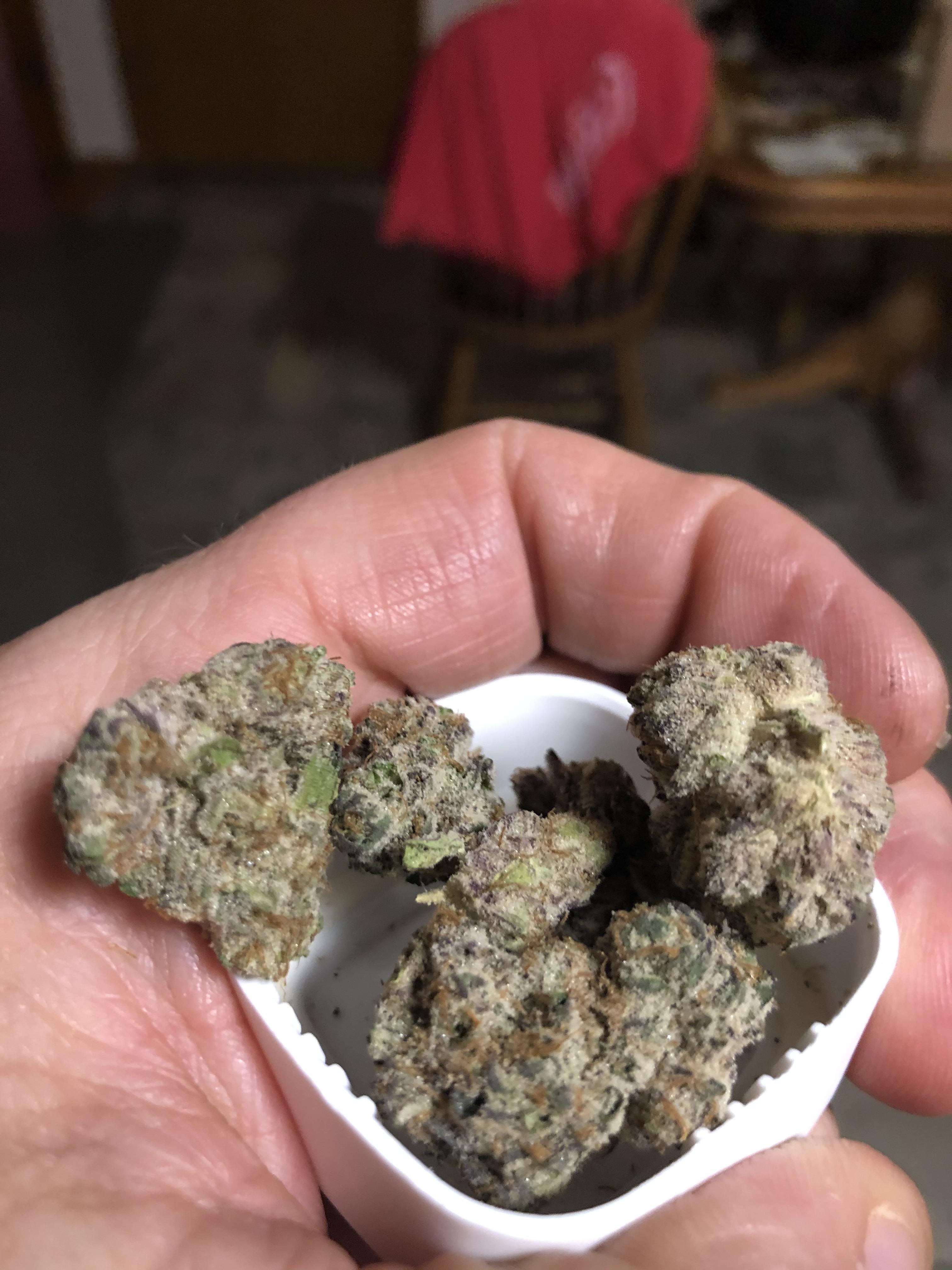 Ice Cream Cake by Aeriz ILTrees