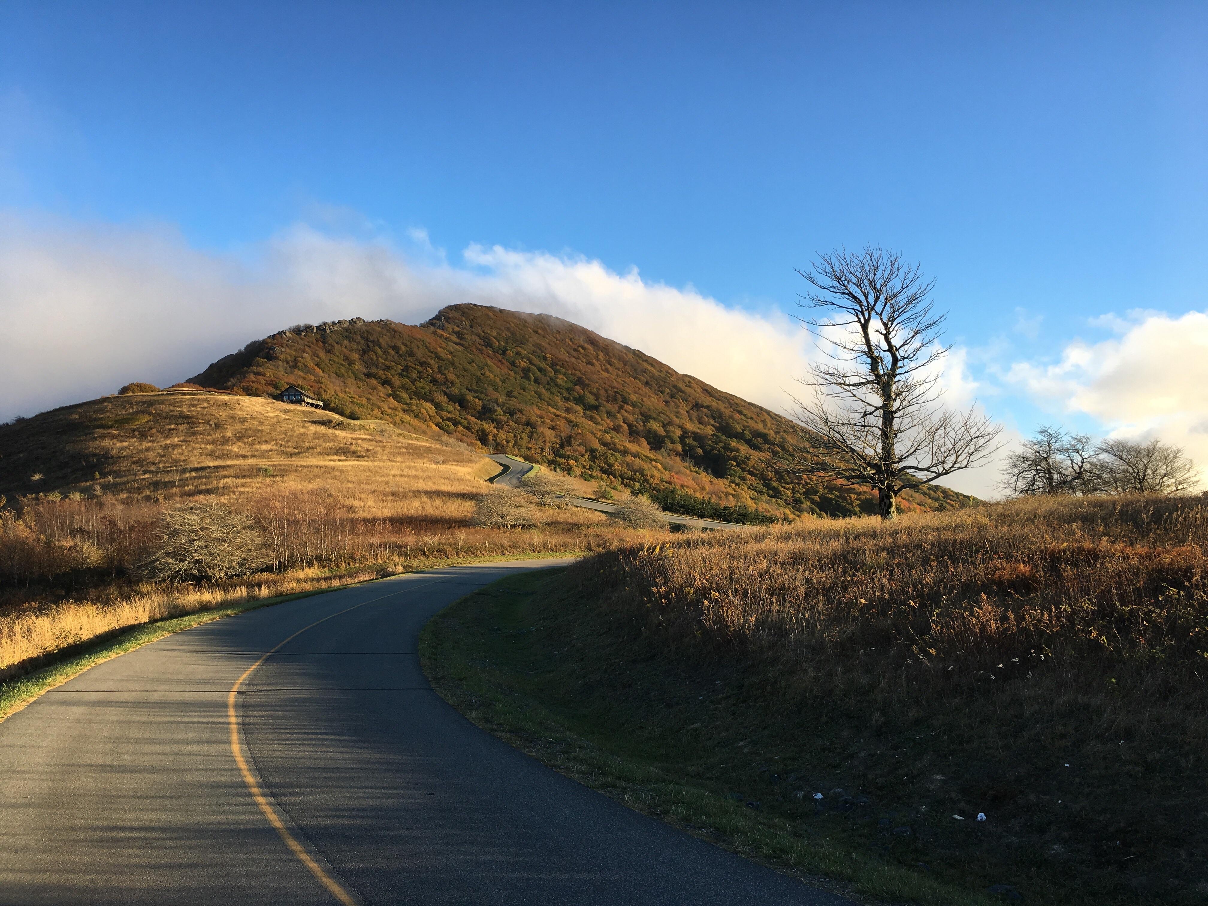 Cabin on top of Rich Mountain, NC r/pics