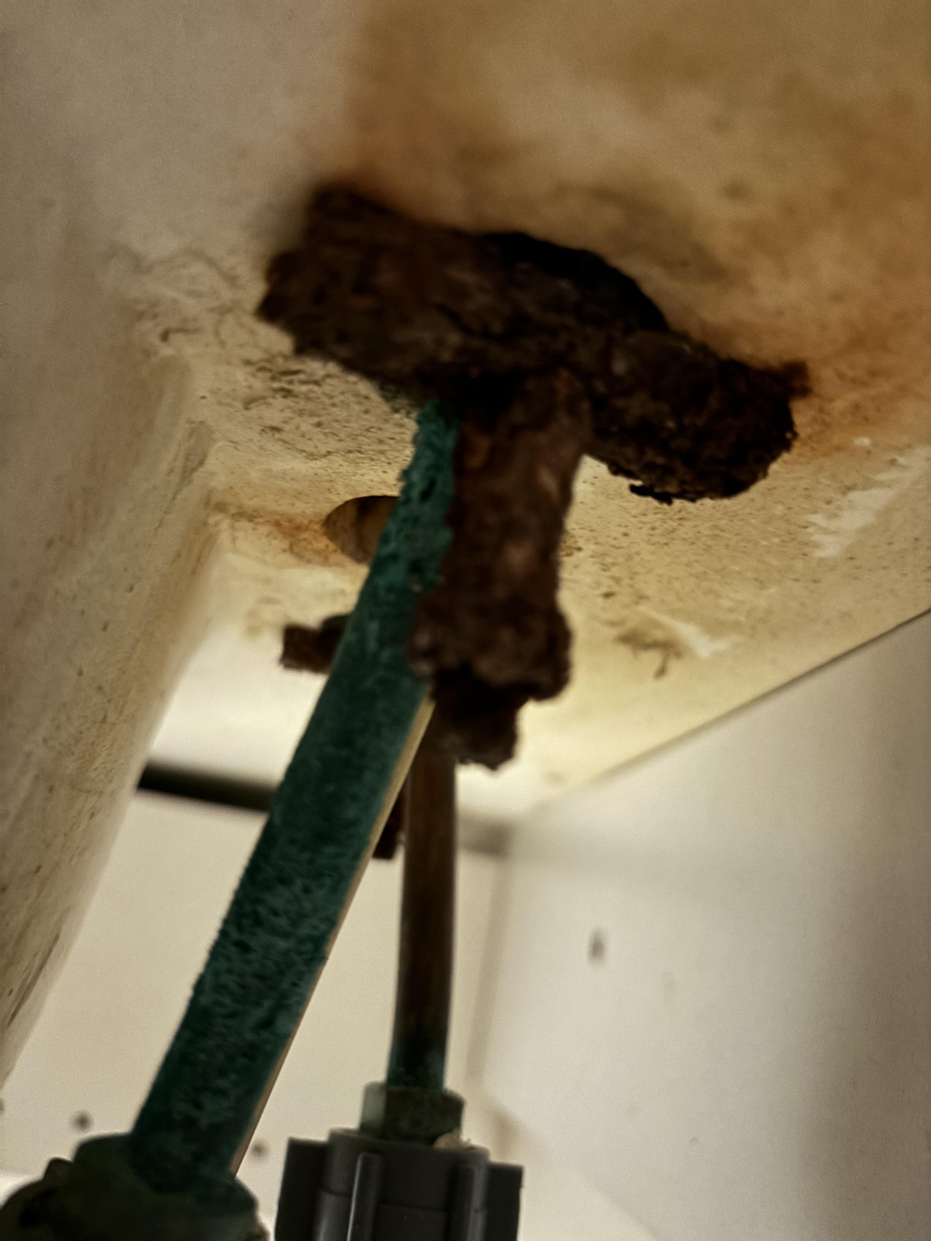 How can I get this bathroom faucet off? r/Plumbing