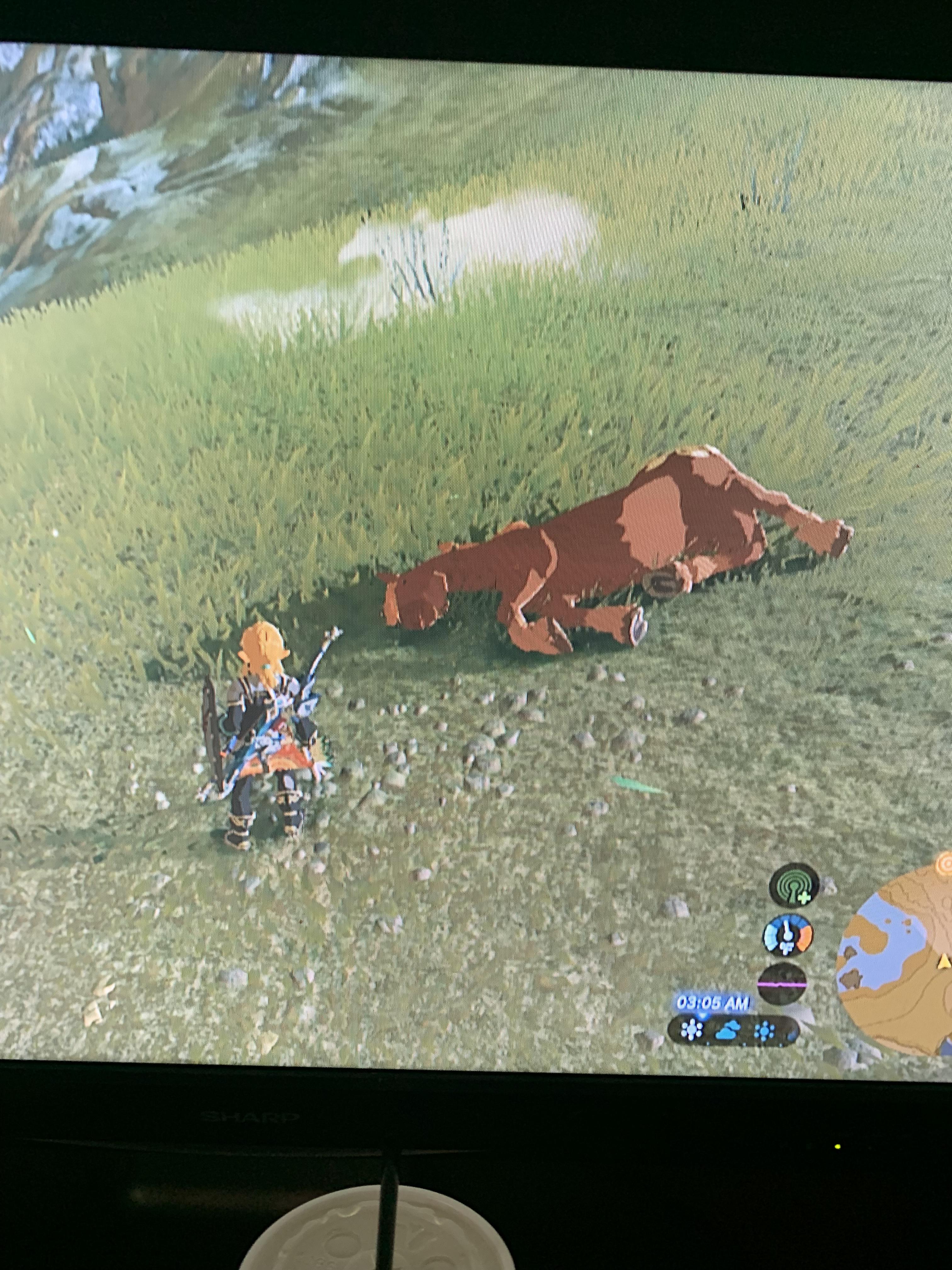 Oh no.. I accidentally killed a horse in BOTW yesterday. I didn’t even