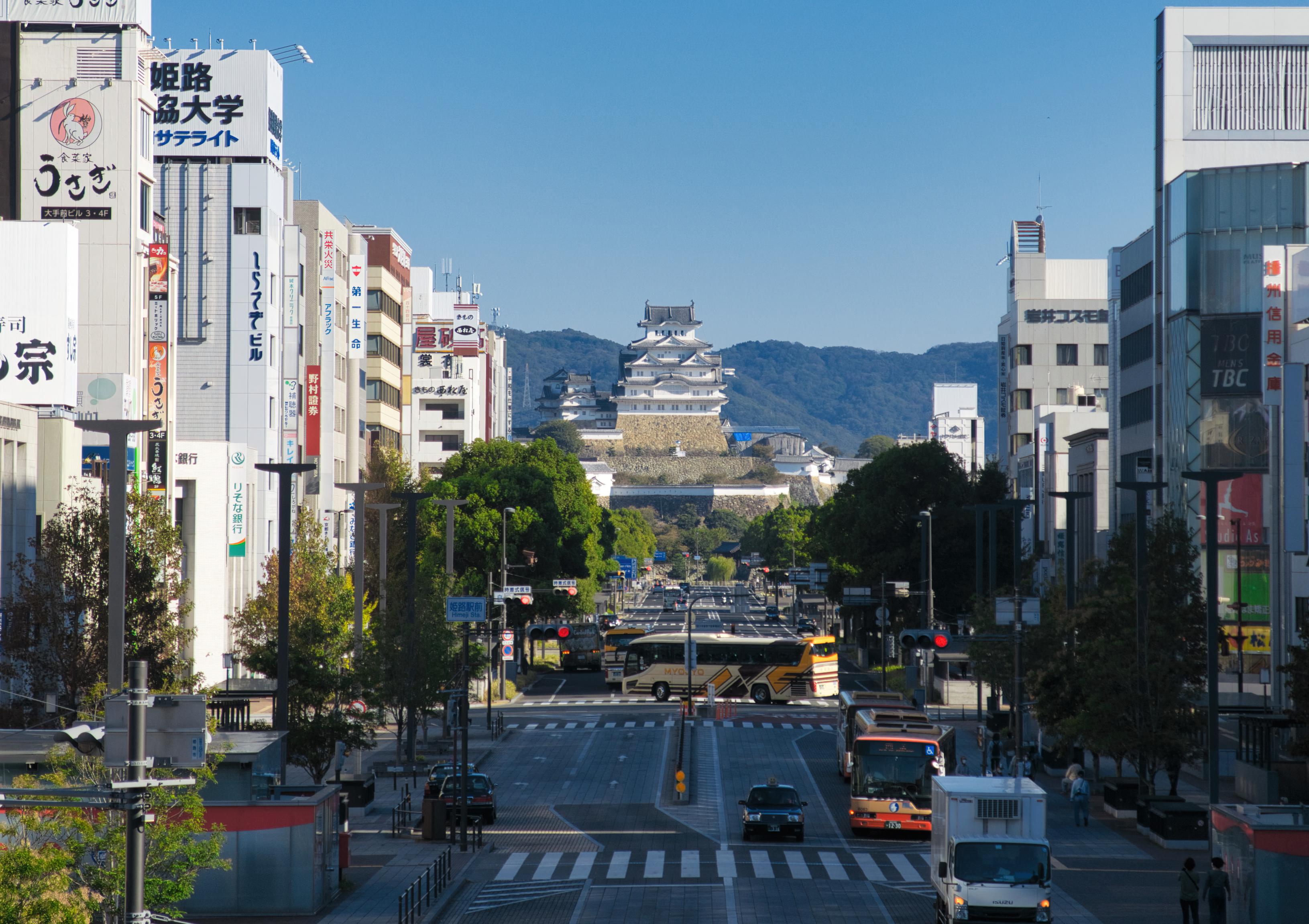 Himeji Castle, view from JR Himeji Station. r/japanpics